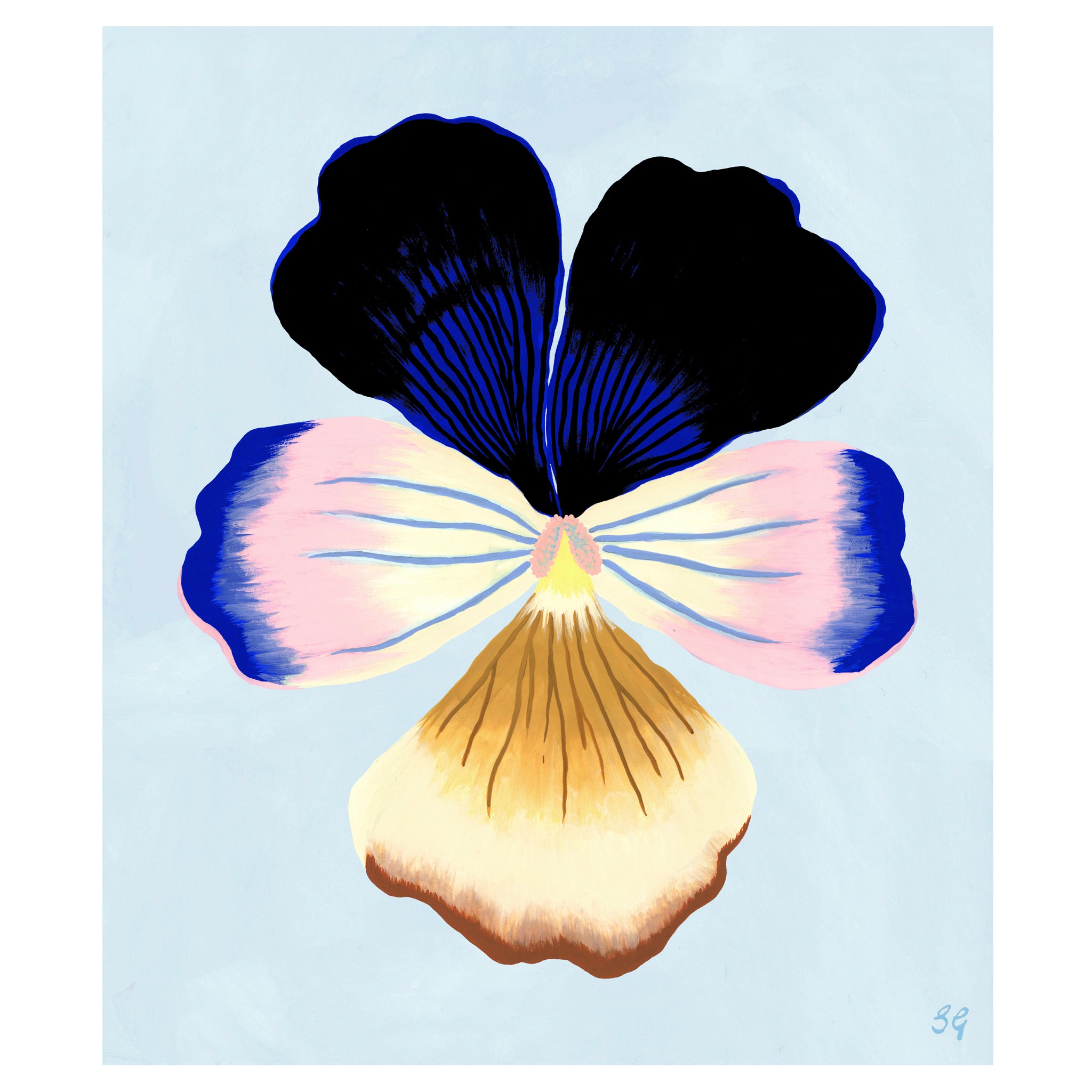 PANSY BLOOM no.4 11.2" x 13.75"