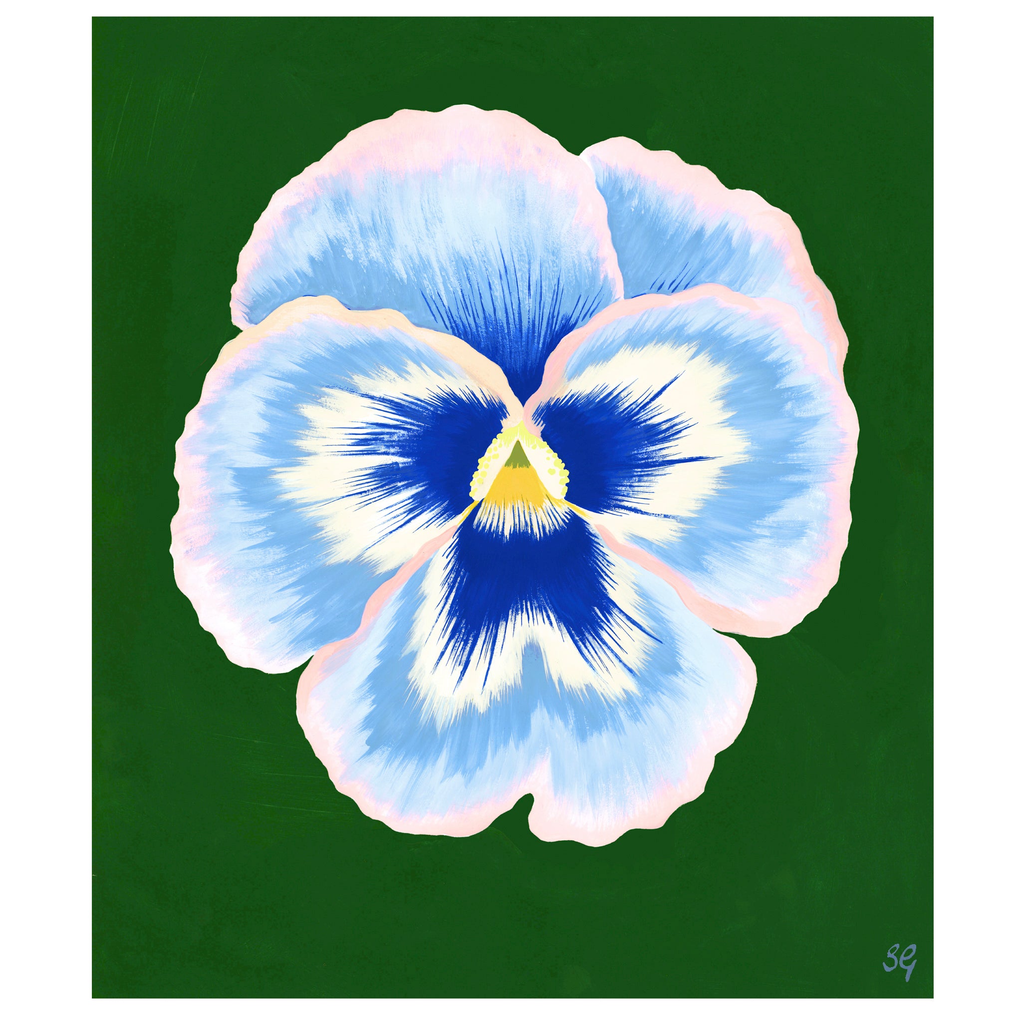 PANSY BLOOM no.7 10.5" x 12.25"