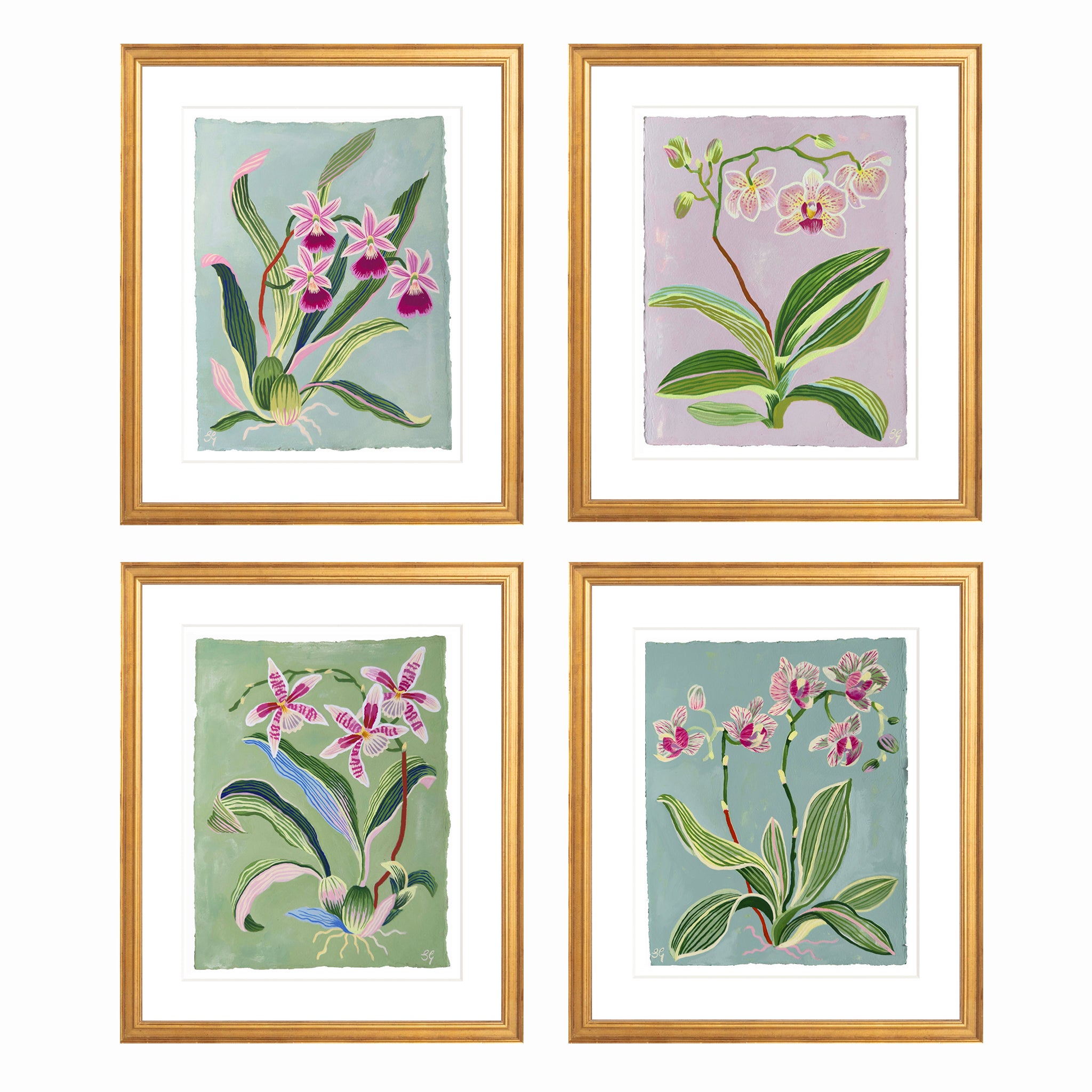 ORCHID STUDY on lilac 8.5" x 11.25"
