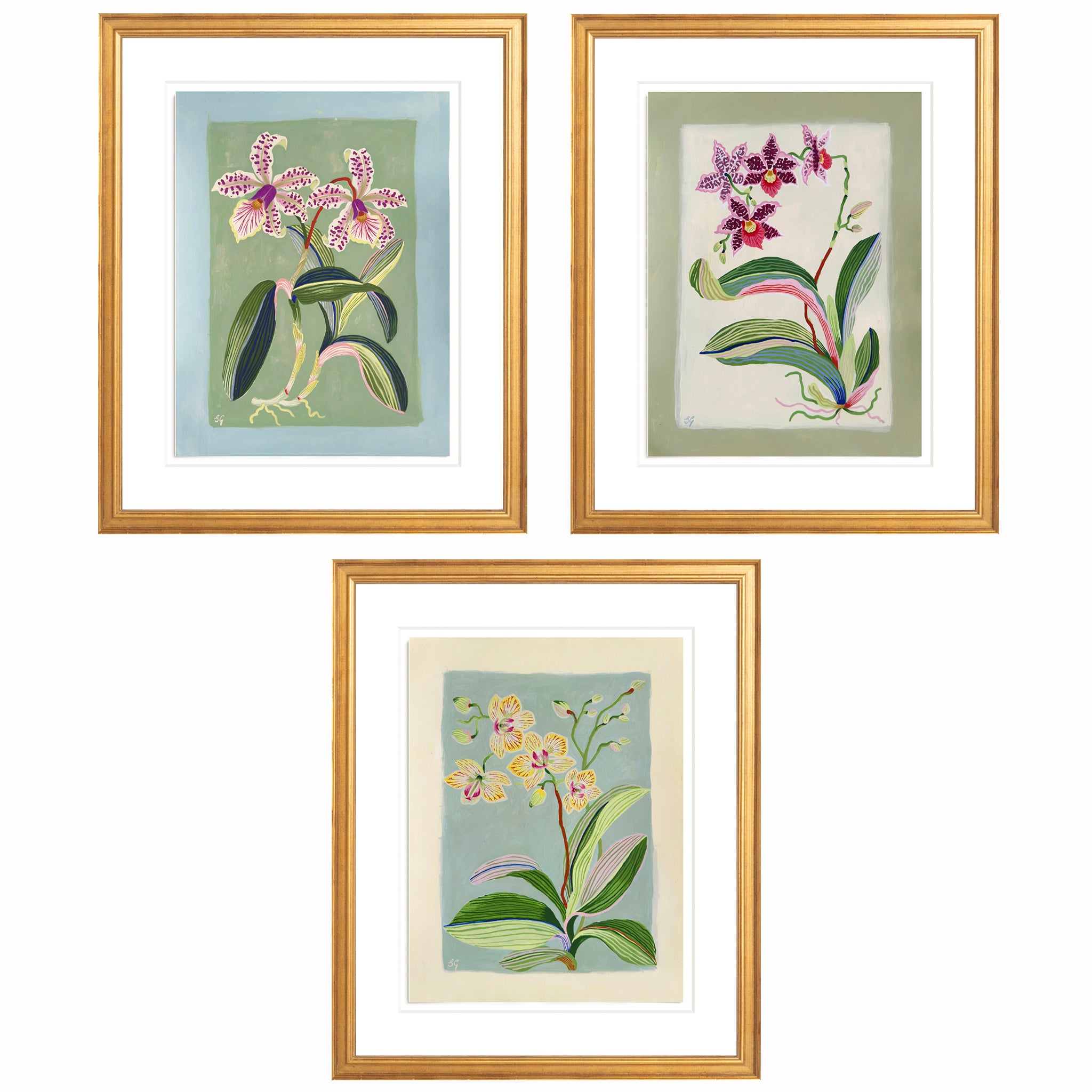 ORCHID BOTANICAL no.6. 12" x 16"