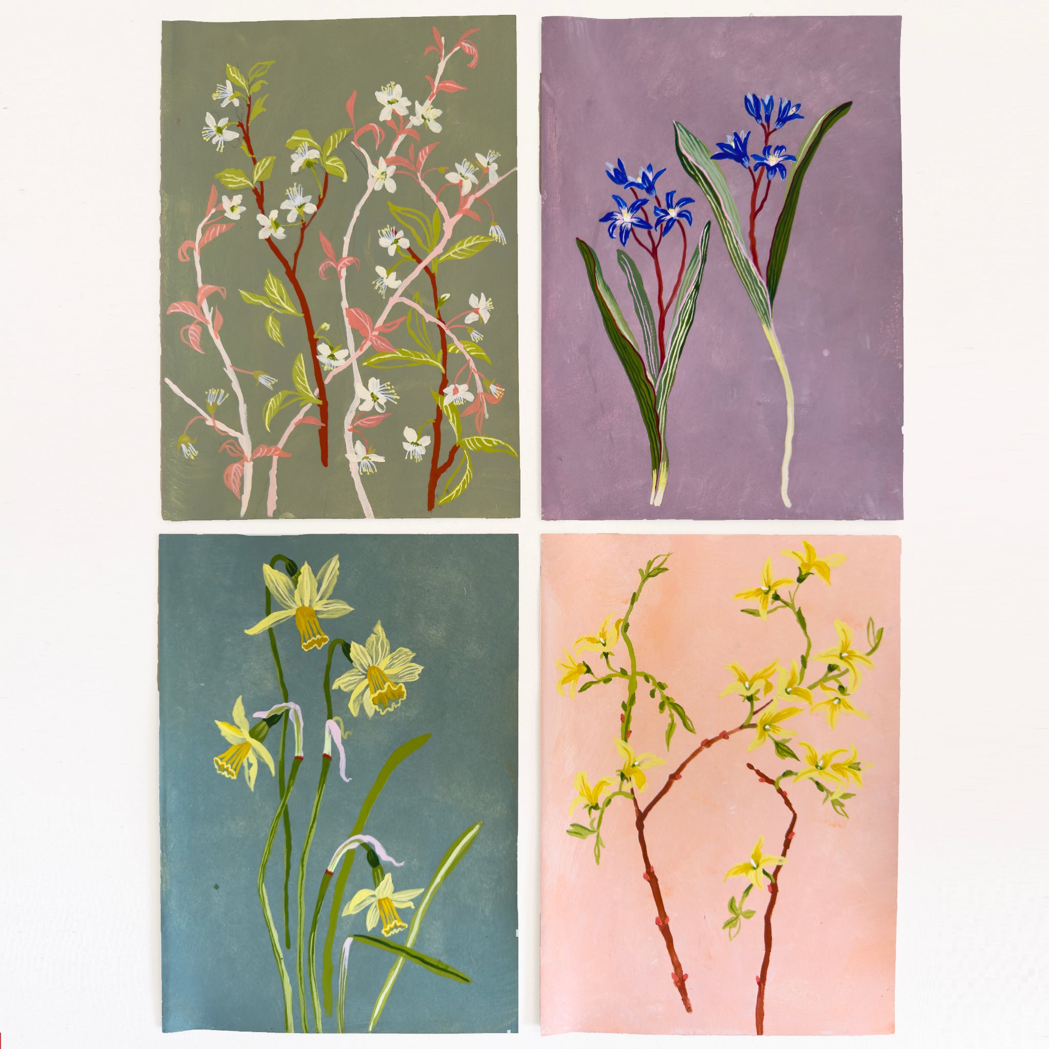 FORSYTHIA STUDY 8" x 11"