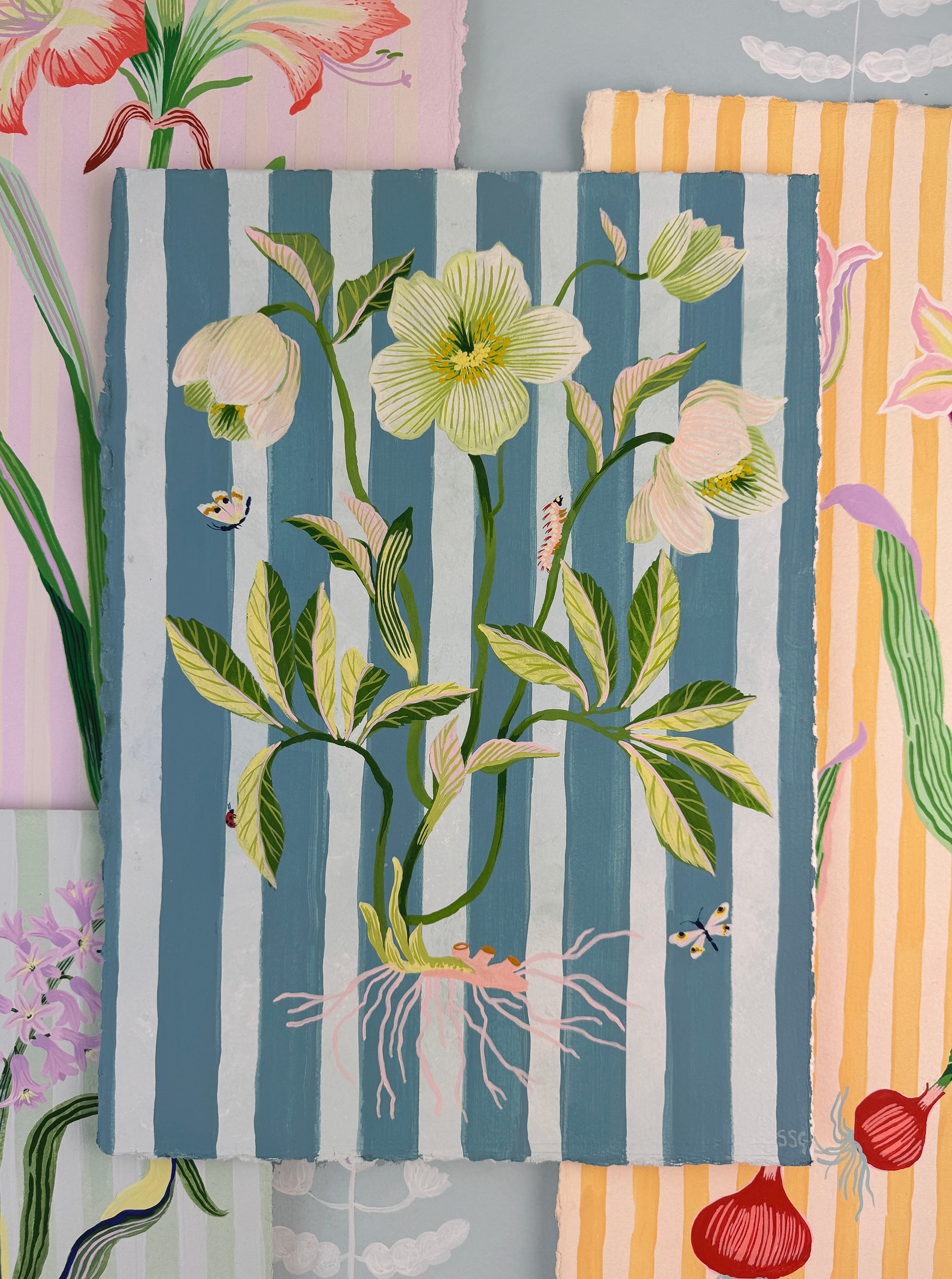HELLEBORE STRIPES 11" x 15.2"
