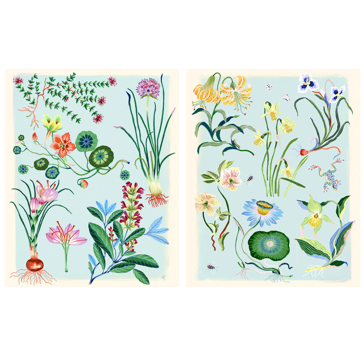 HERBARIUM Special Edition Giclee Print 18"x24"