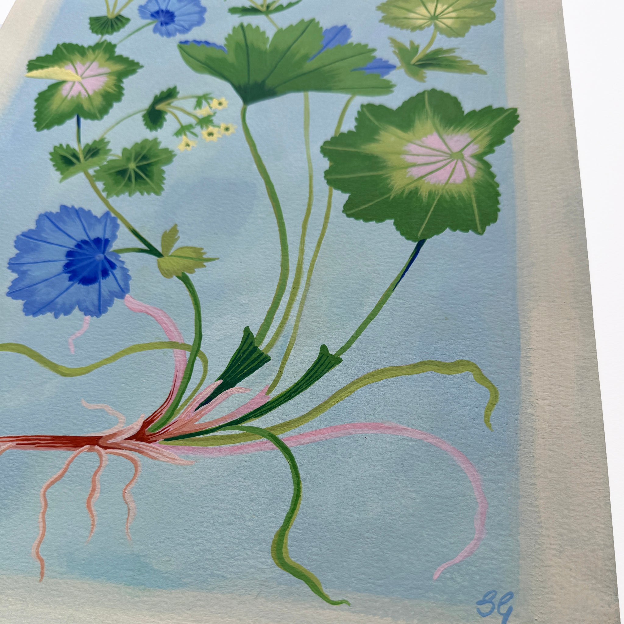 LADY'S MANTLE 11"x15"