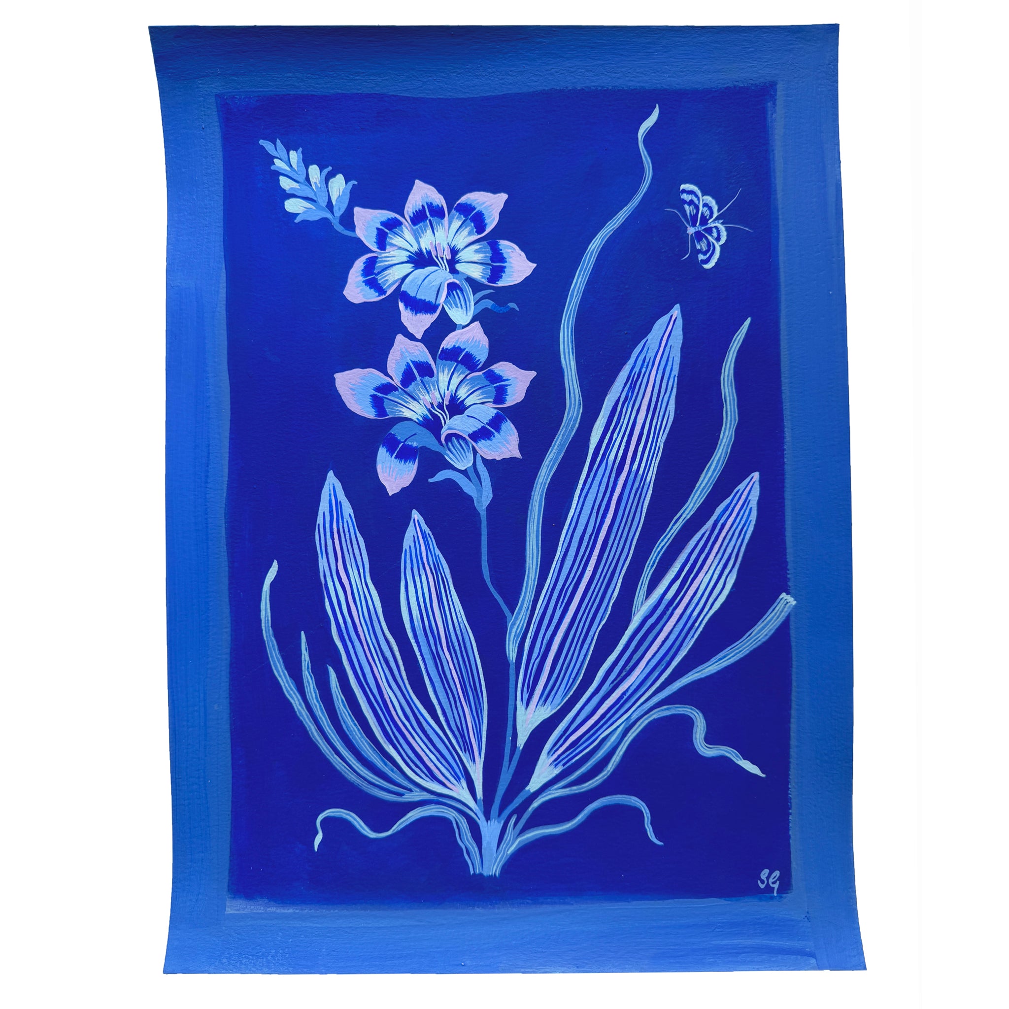 BLUE FREESIA in ultramarine 11"x15"