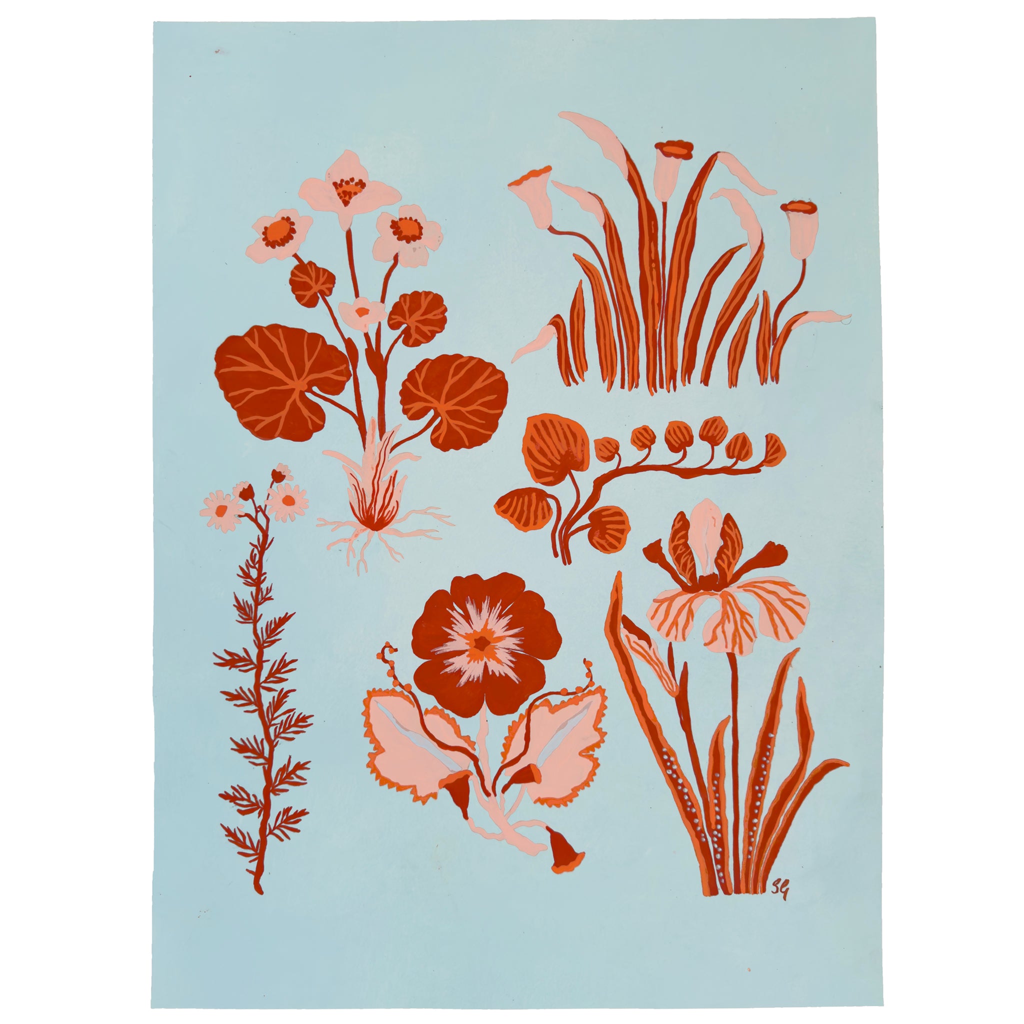 MARSH FLOWER 13.8" x 18.75"