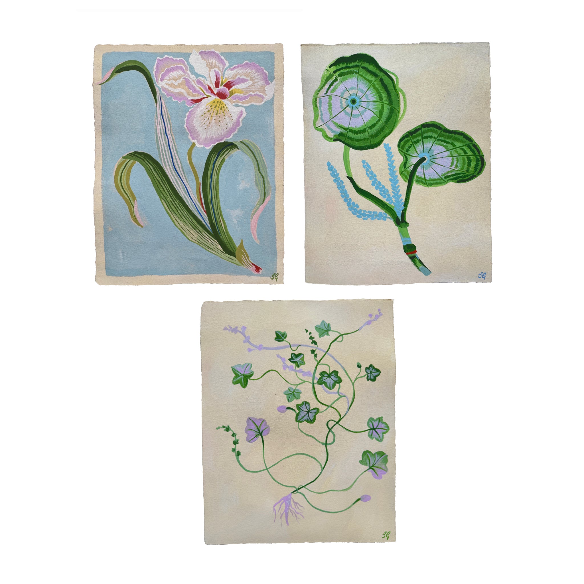 SOFT LEAVES study on cream 7.5"x9.5"