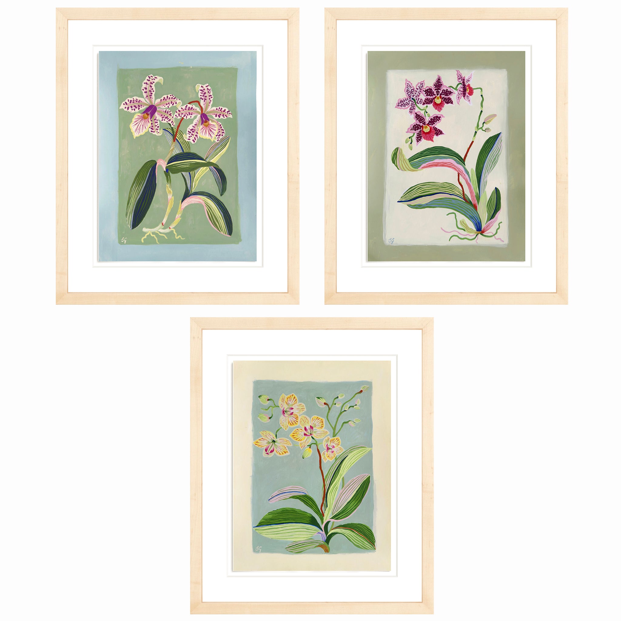 ORCHID BOTANICAL no.6. 12" x 16"