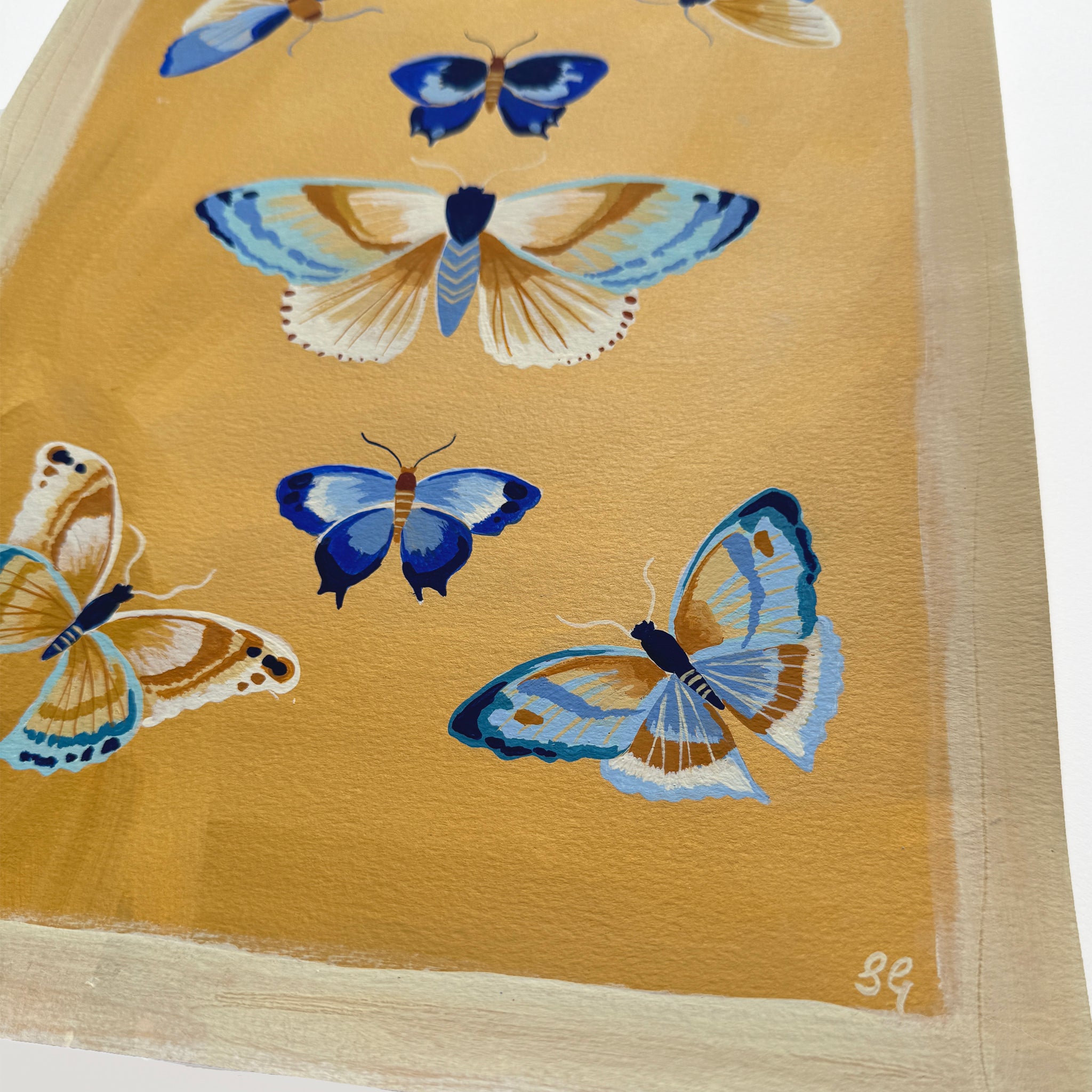 BUTTERFLIES no.2 in ochre & blues 11"x15"