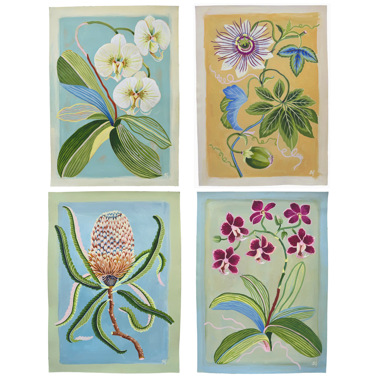 MAGENTA ORCHID on pale green 10"x14"