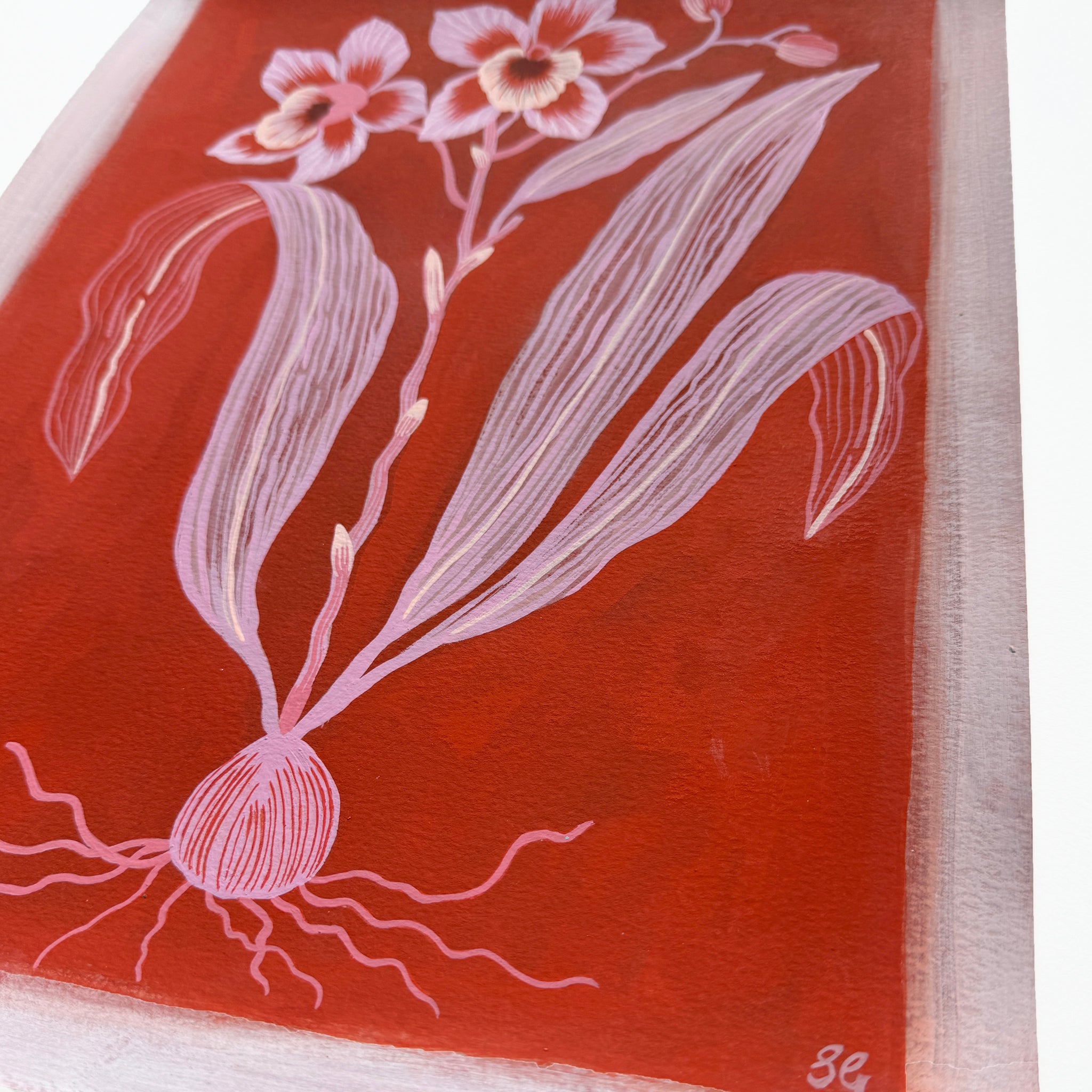 ORCHID in pink & red 11"x15"