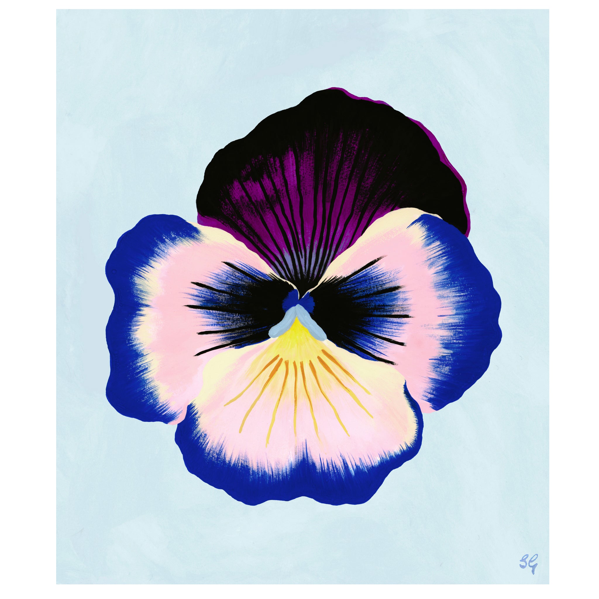 PANSY BLOOM no.6 11" x 13.75"