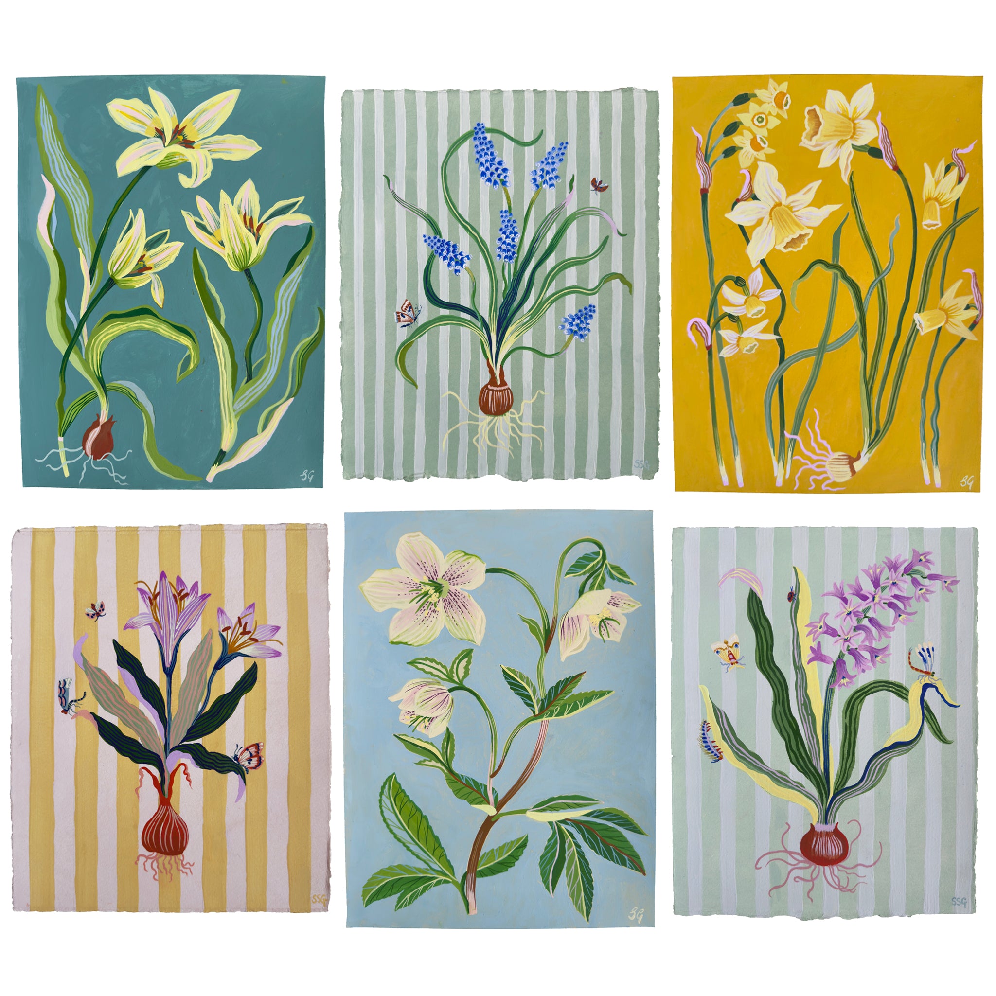 SPRING MUSCARI on dusty green stripes 9.2" x 11.2"