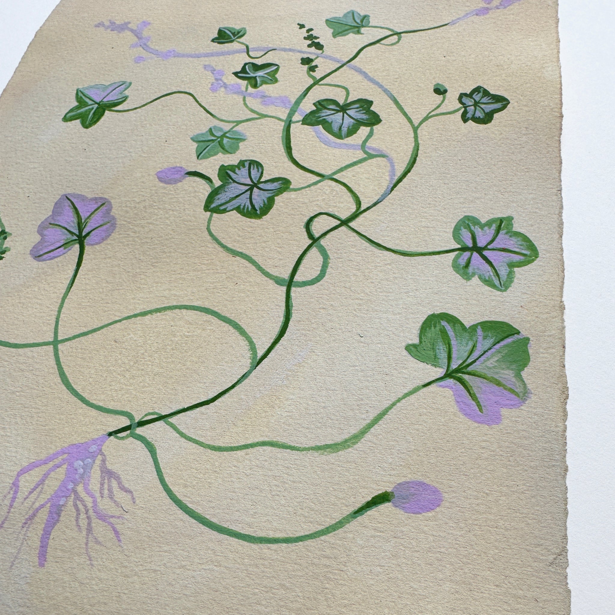 SWEET CLIMBER study on cream 7.5"x9.5"