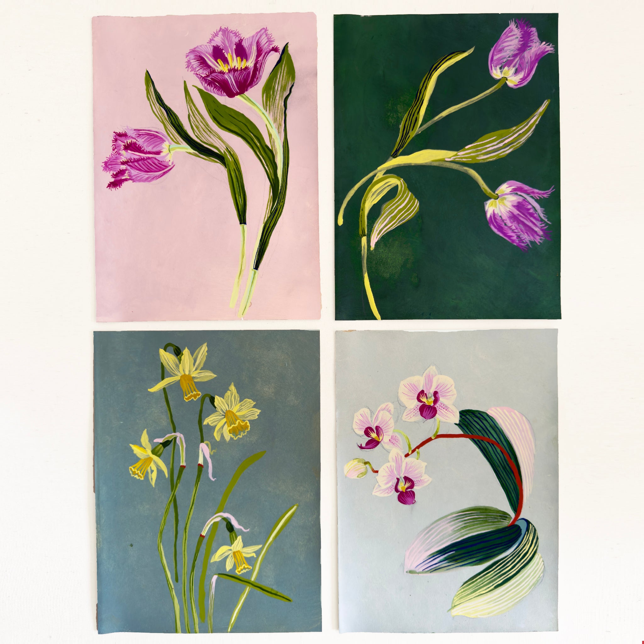 ORCHID STUDY on pale blue 8" x 11"