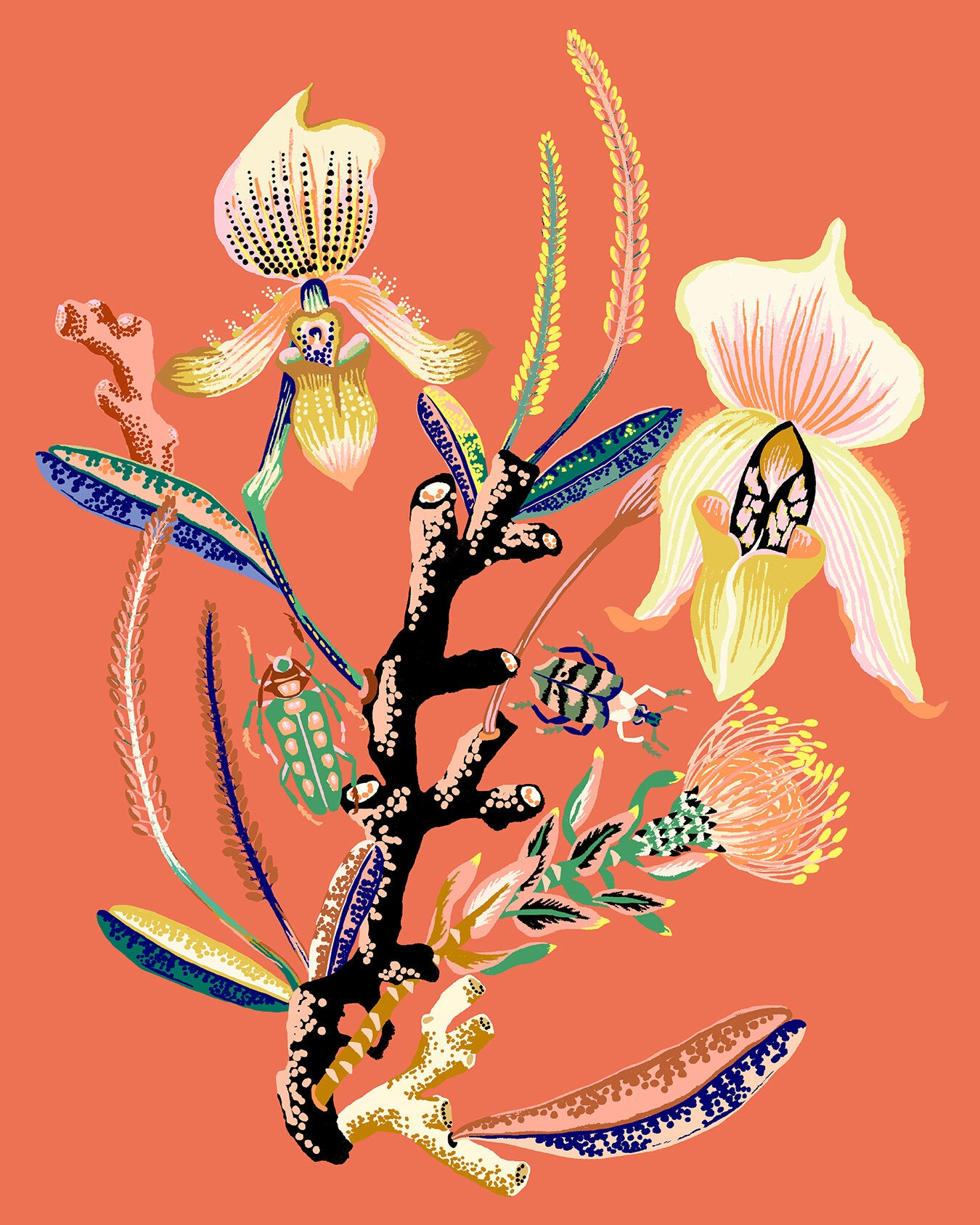 WONDERGARDEN ORCHID 8" x 10"
