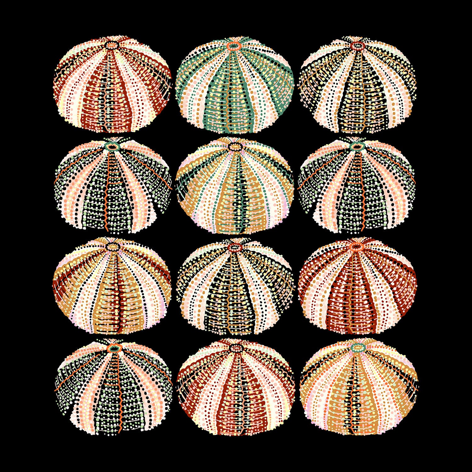 URCHIN 12 WAYS 18" X 18" in 2 color options