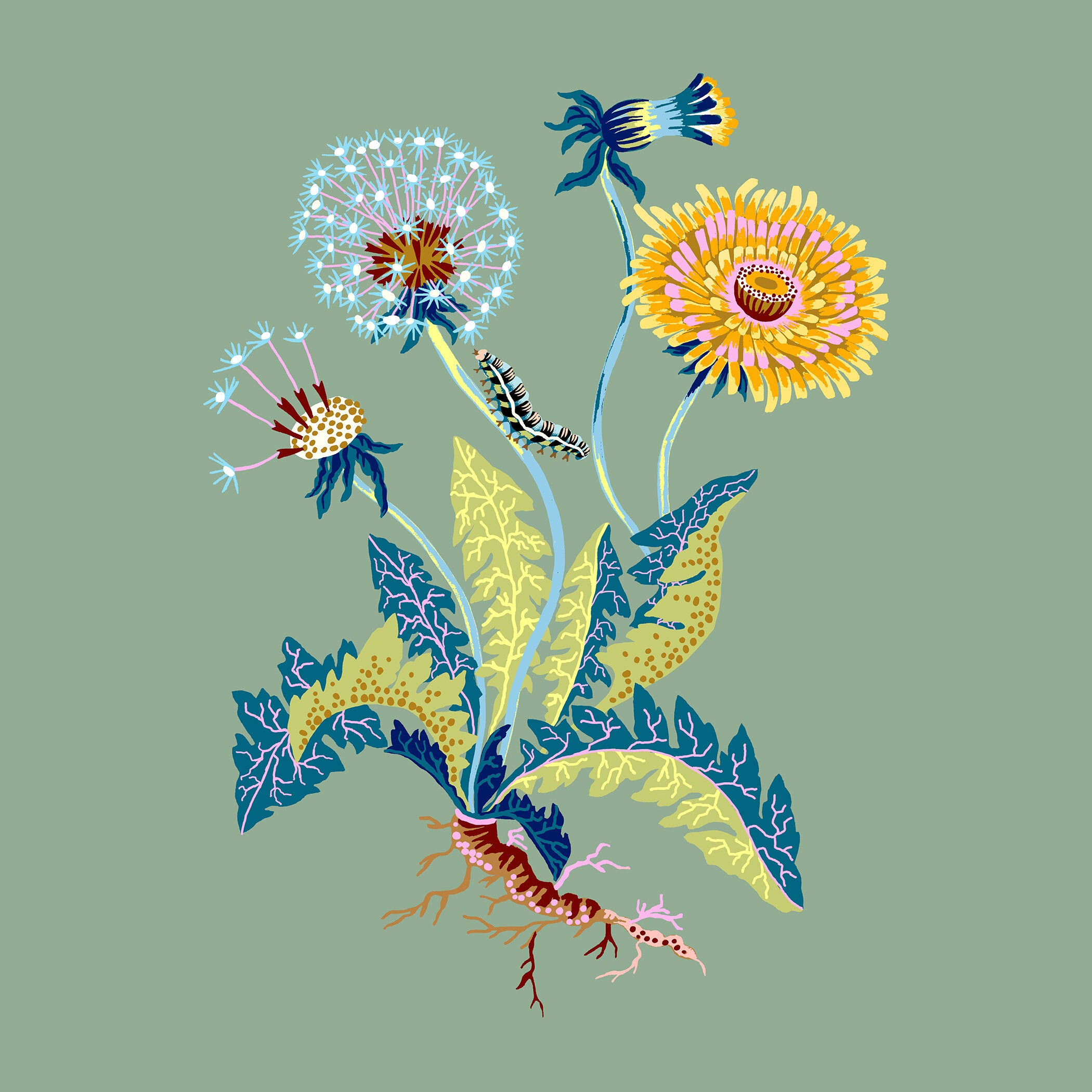 DANDELION 18" x 18"