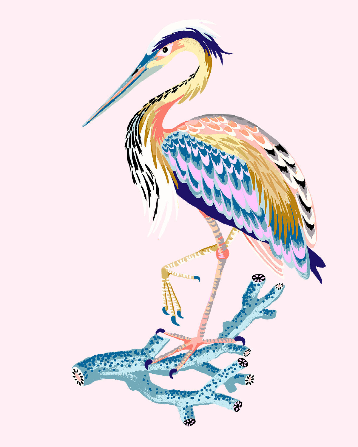 HERON MINI 8" x 10" in 2 color options