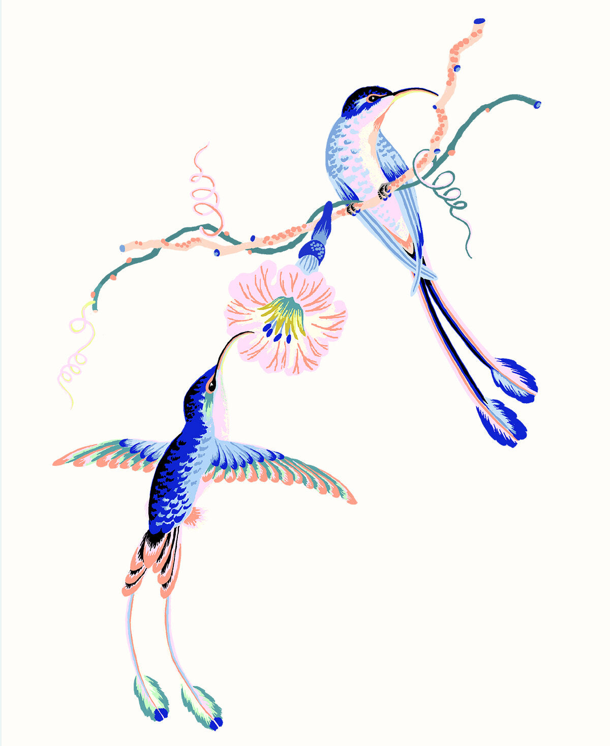 HUMMINGBIRDS 8" x 10" in 2 color options