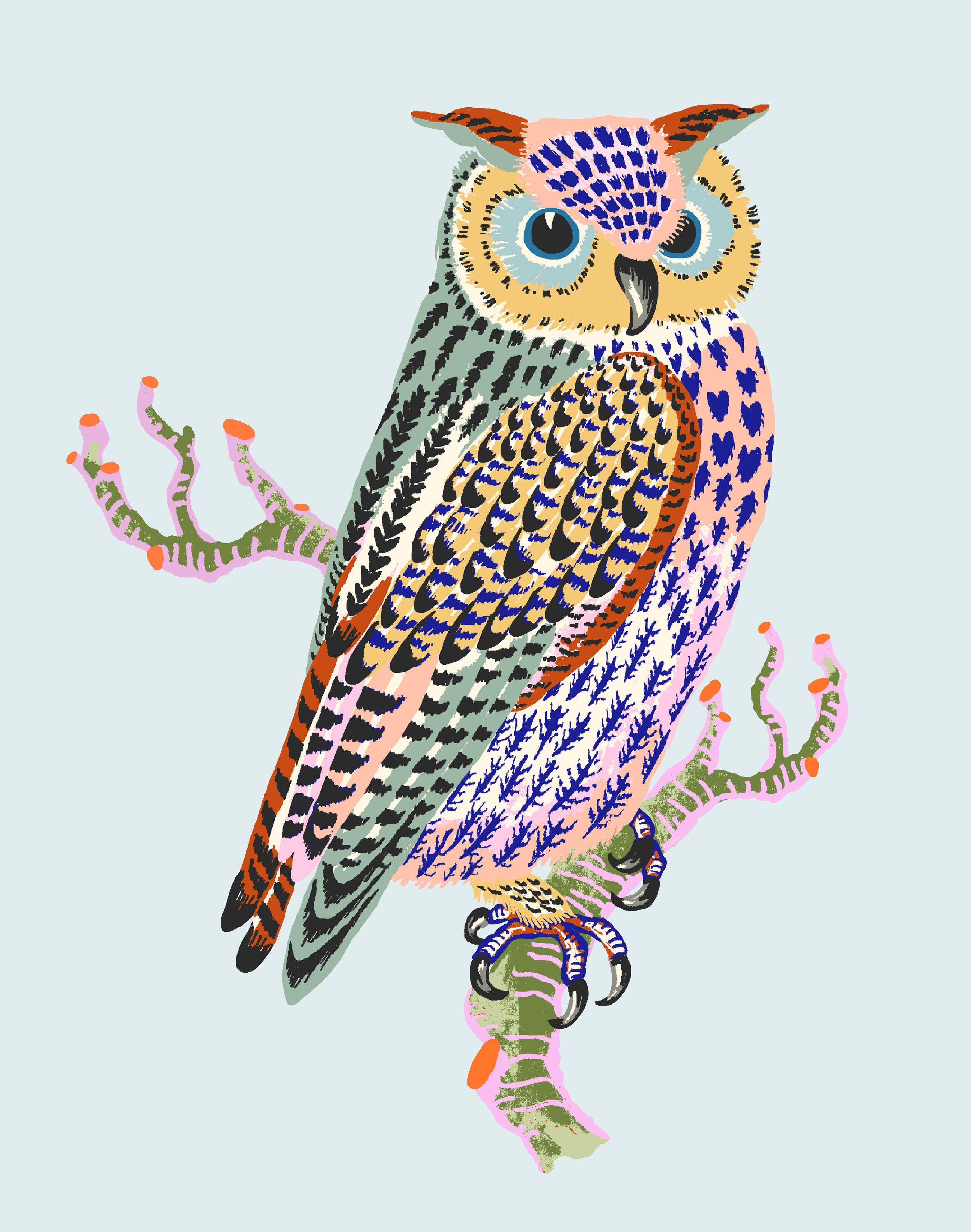 OWL 8" x 10" in 2 color options