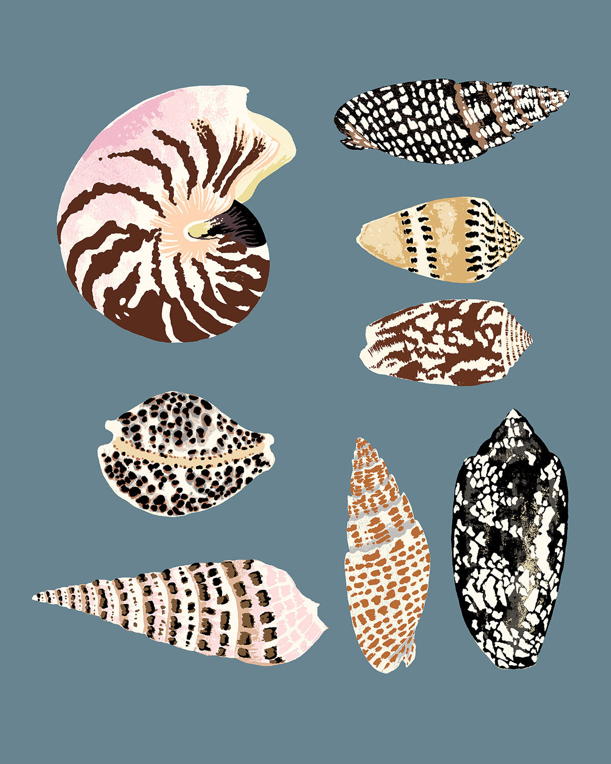 FIJI SHELLS 16" x 20" in 2 color options