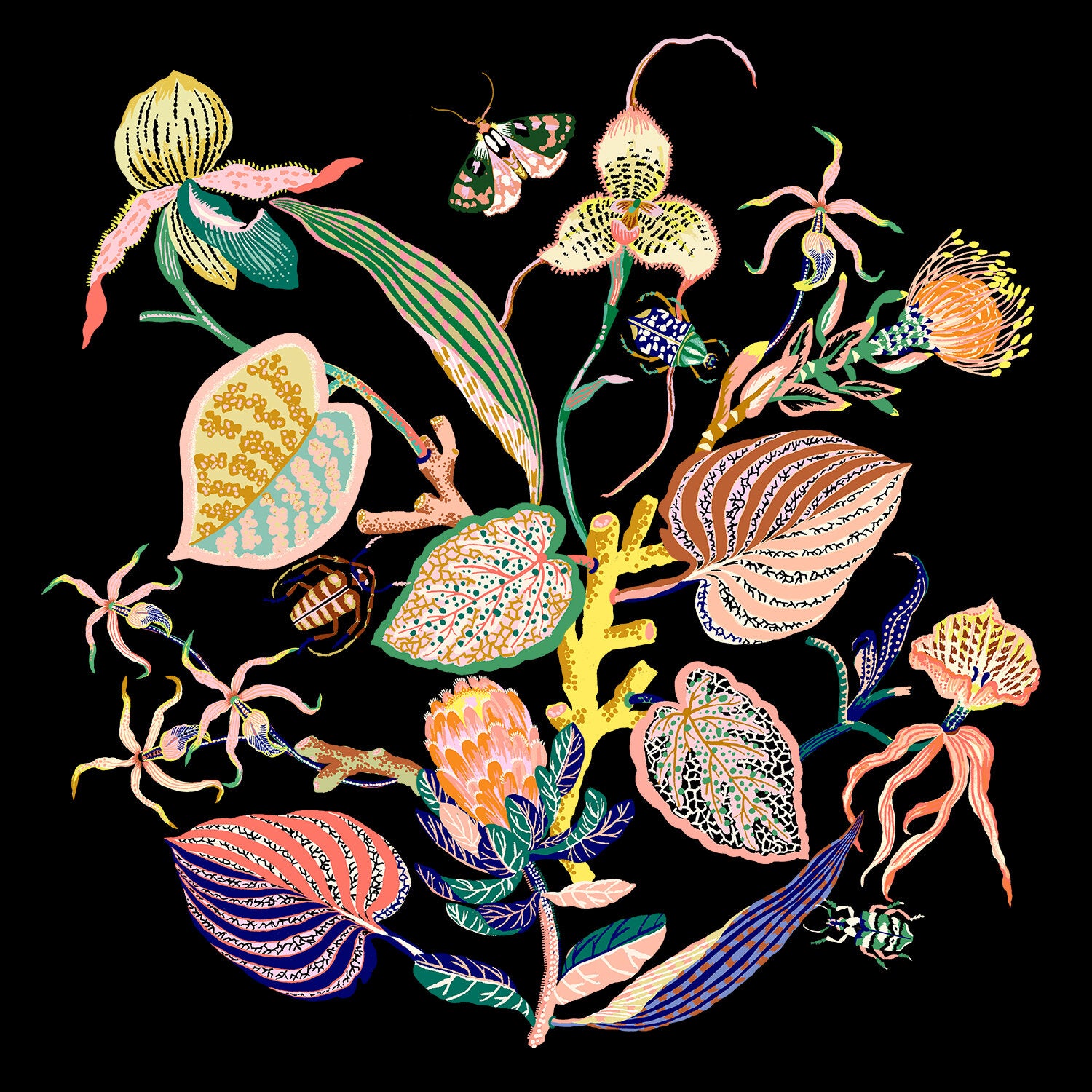 WONDERGARDEN VIGNETTE Limited Edition 20" x 20"