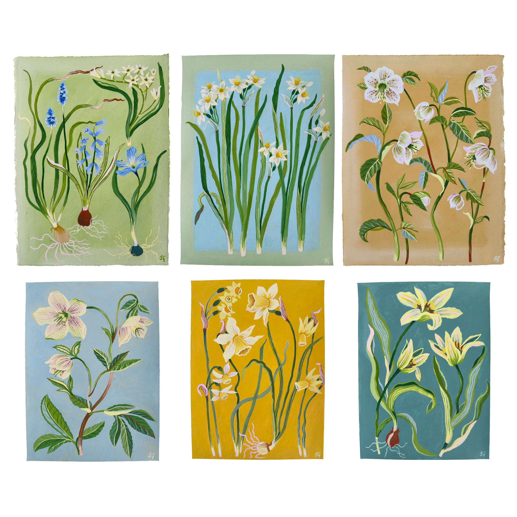 SPRING NARCISSUS on soft blue & misty green border 11"x15"