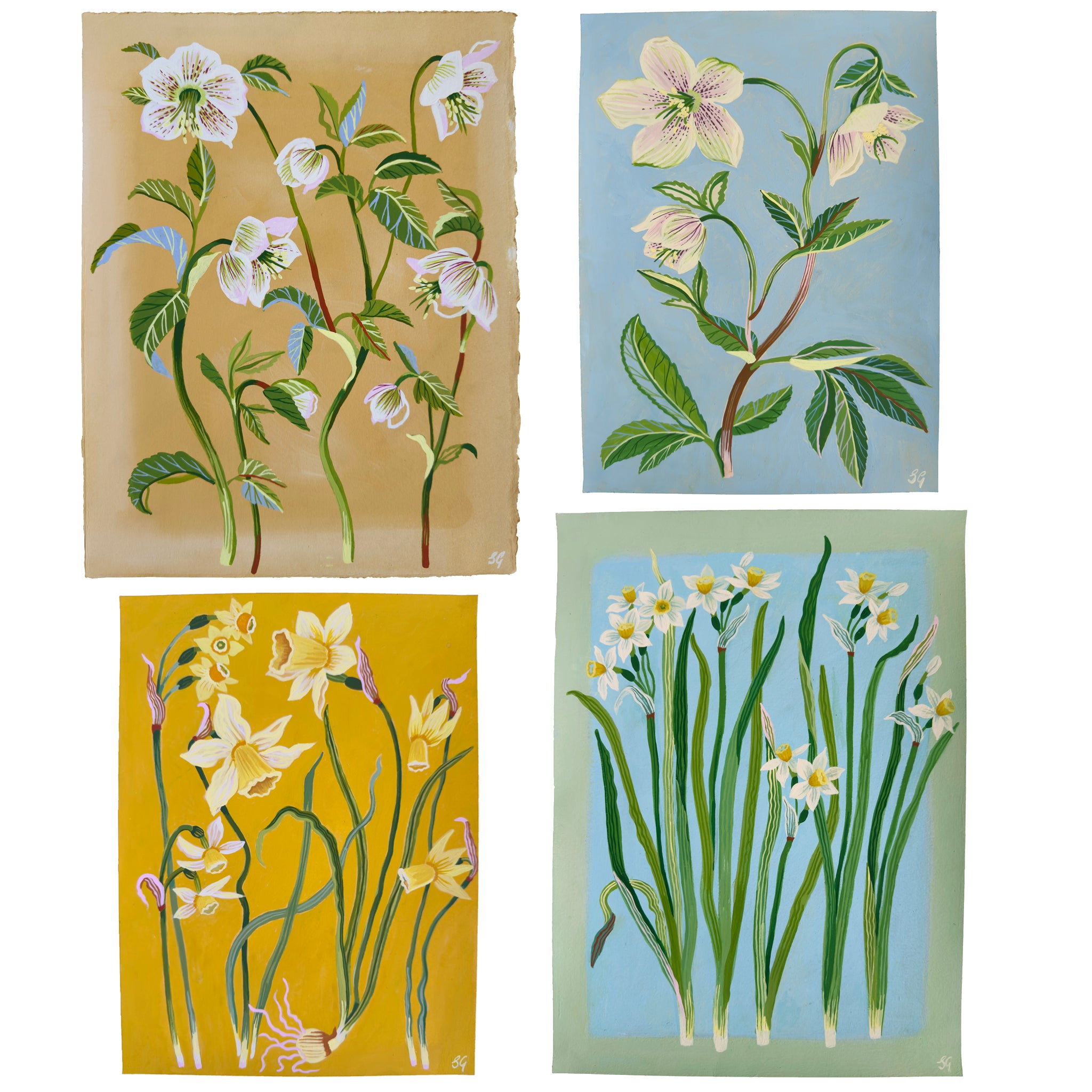 SPRING HELLEBORES no.2 on pale blue 9"x12"