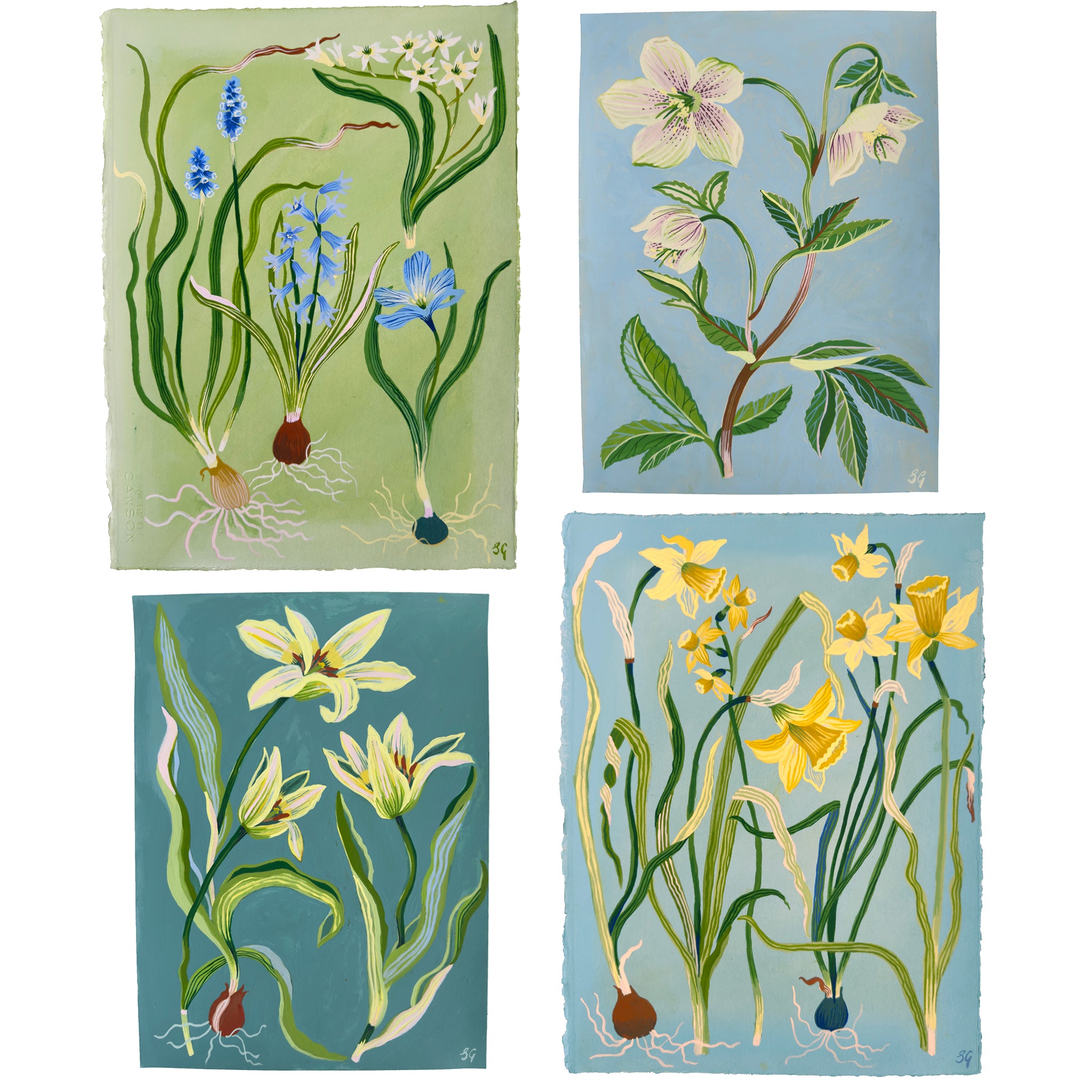 SPRING DAFFODILS no.1 on pale blue 11.25"x15"