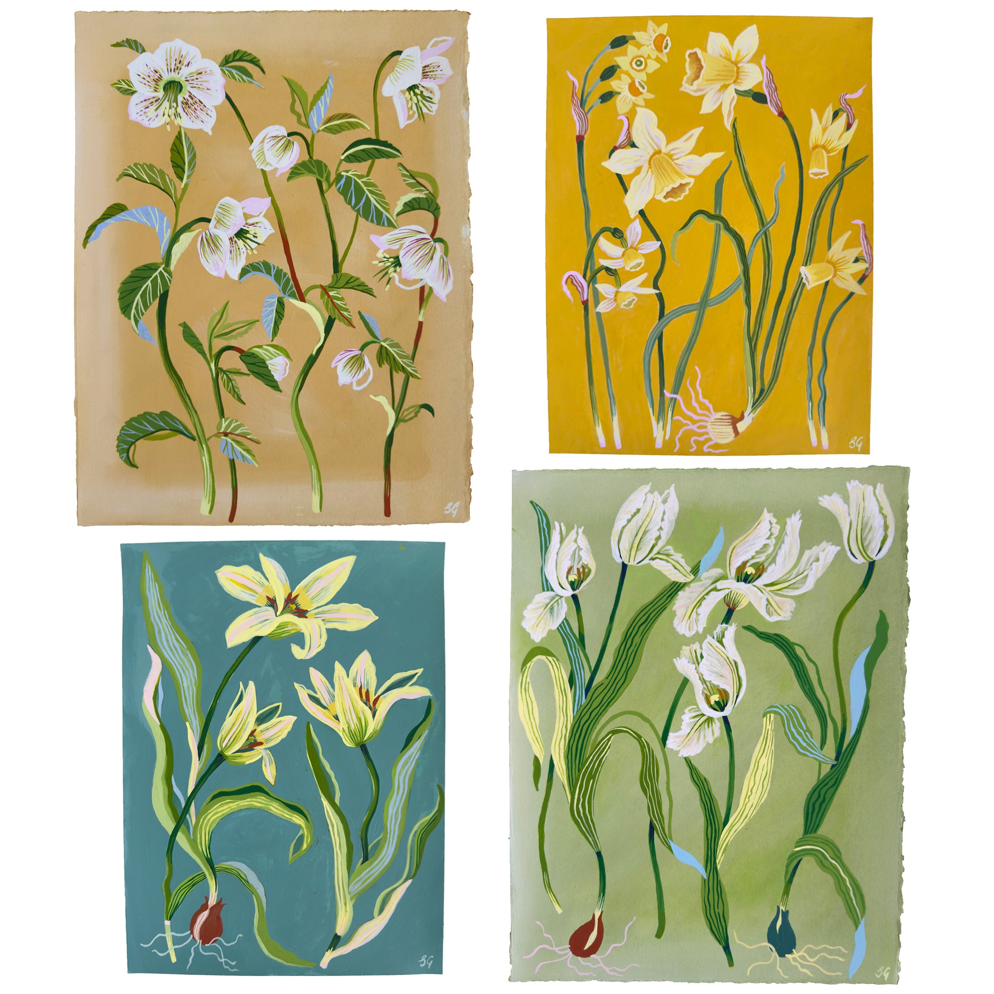 SPRING TULIPS no.1 on soft green 11.25"x15"