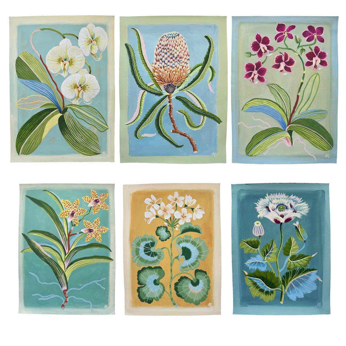 MOTH ORCHID on pale blue 10"x14"