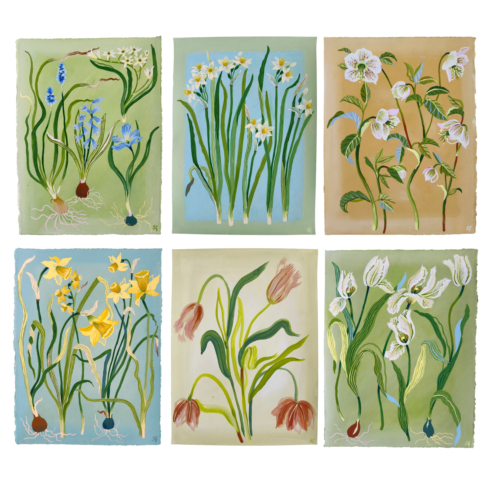 SPRING NARCISSUS on soft blue & misty green border 11"x15"