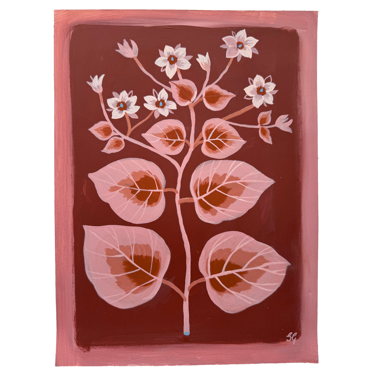 BORAGE on red oxide 9"x12"