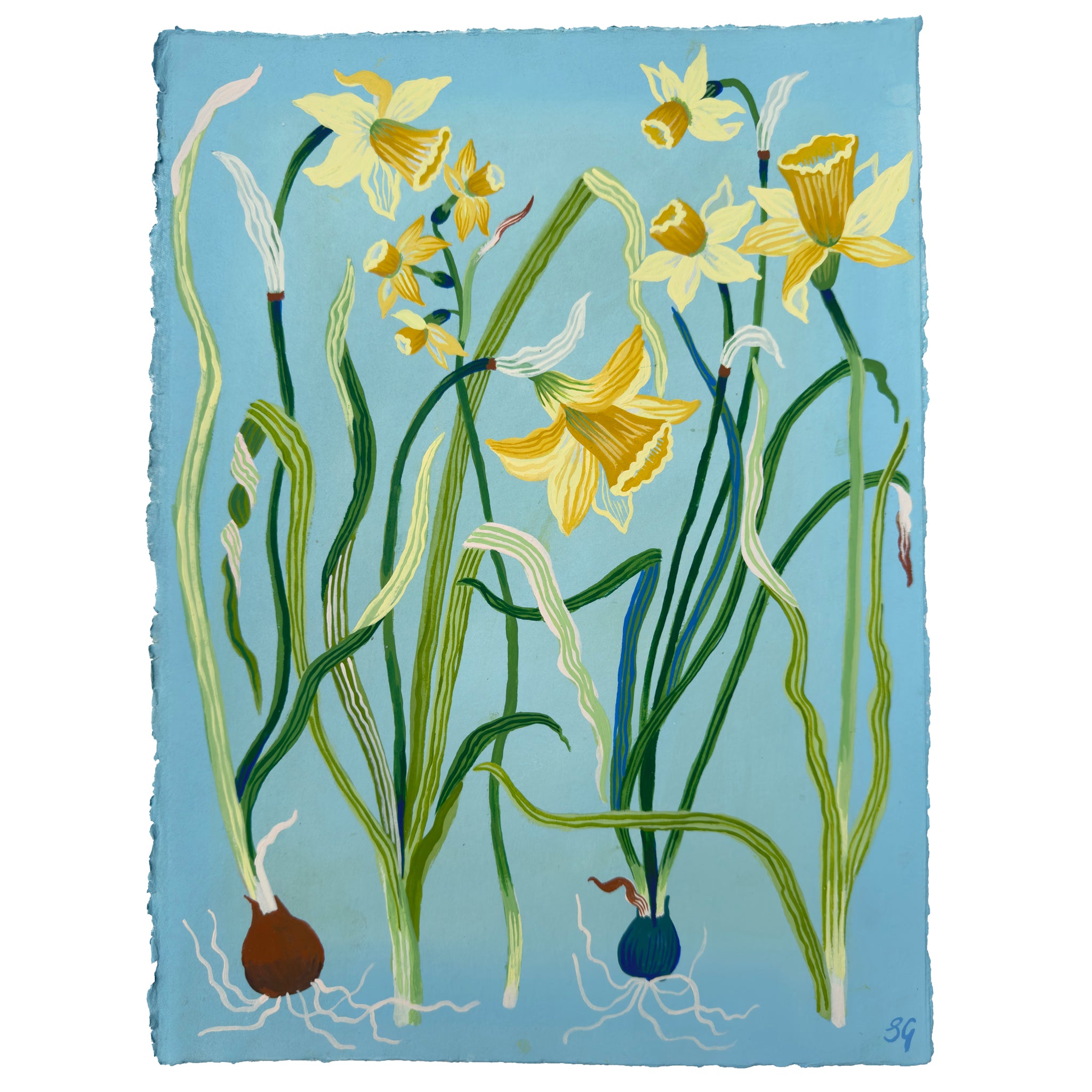 SPRING DAFFODILS no.1 on pale blue 11.25"x15"