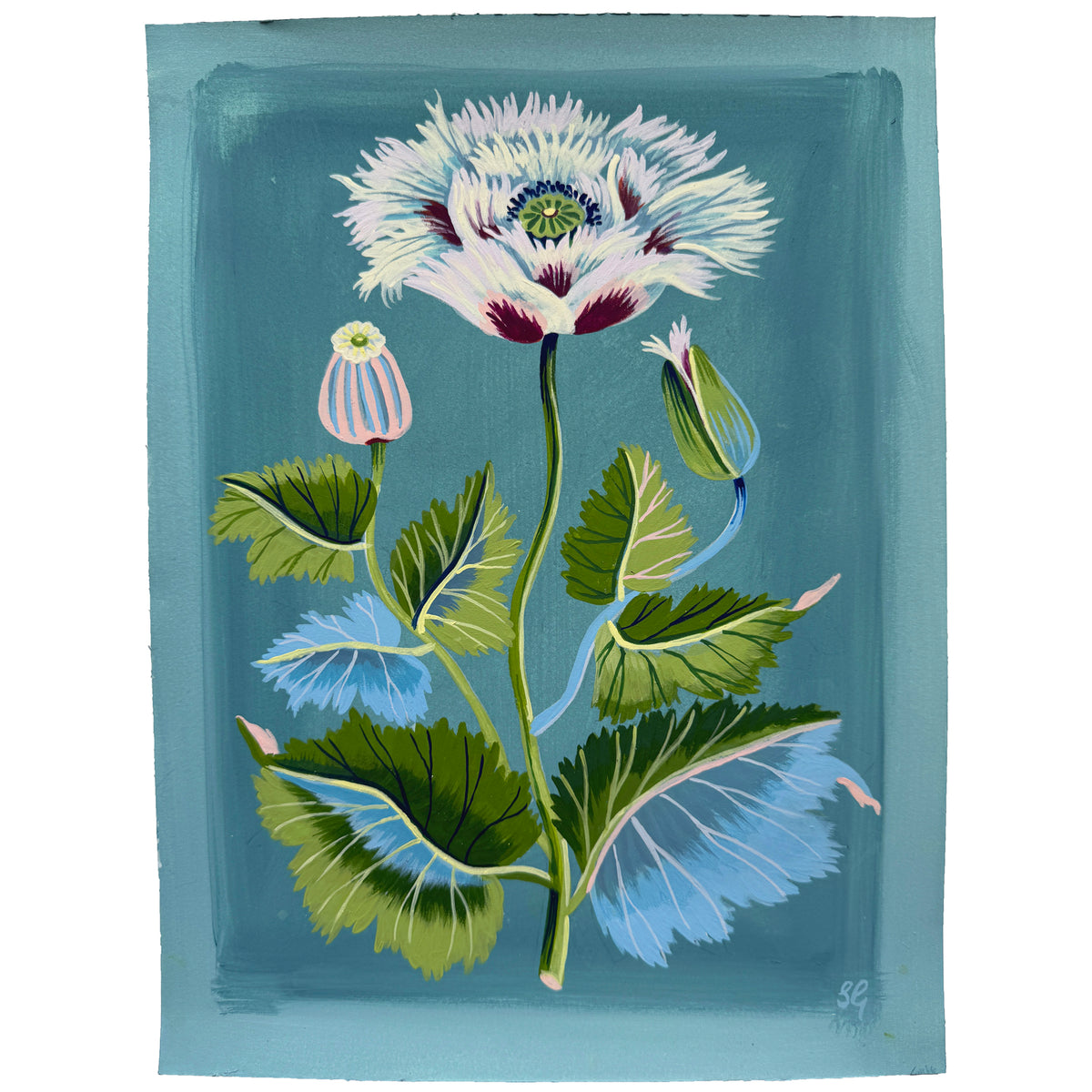FRILLY POPPY no.2 9"x12"