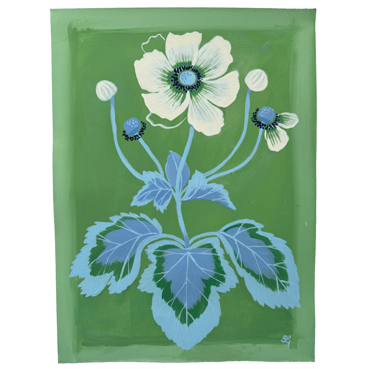 JAPANESE ANEMONE on jade green 9"x12"