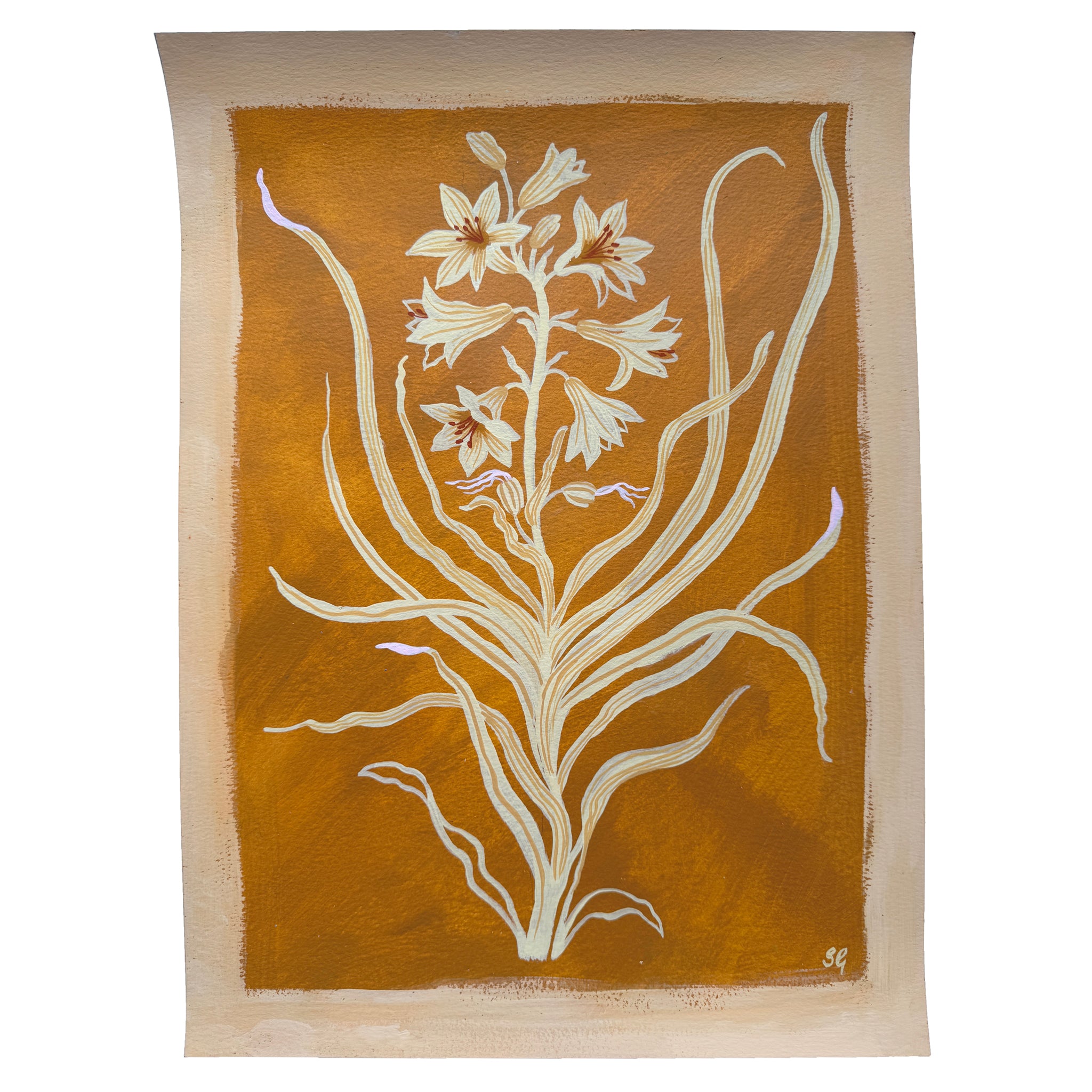 PARADISE LILY in raw sienna 11"x15"