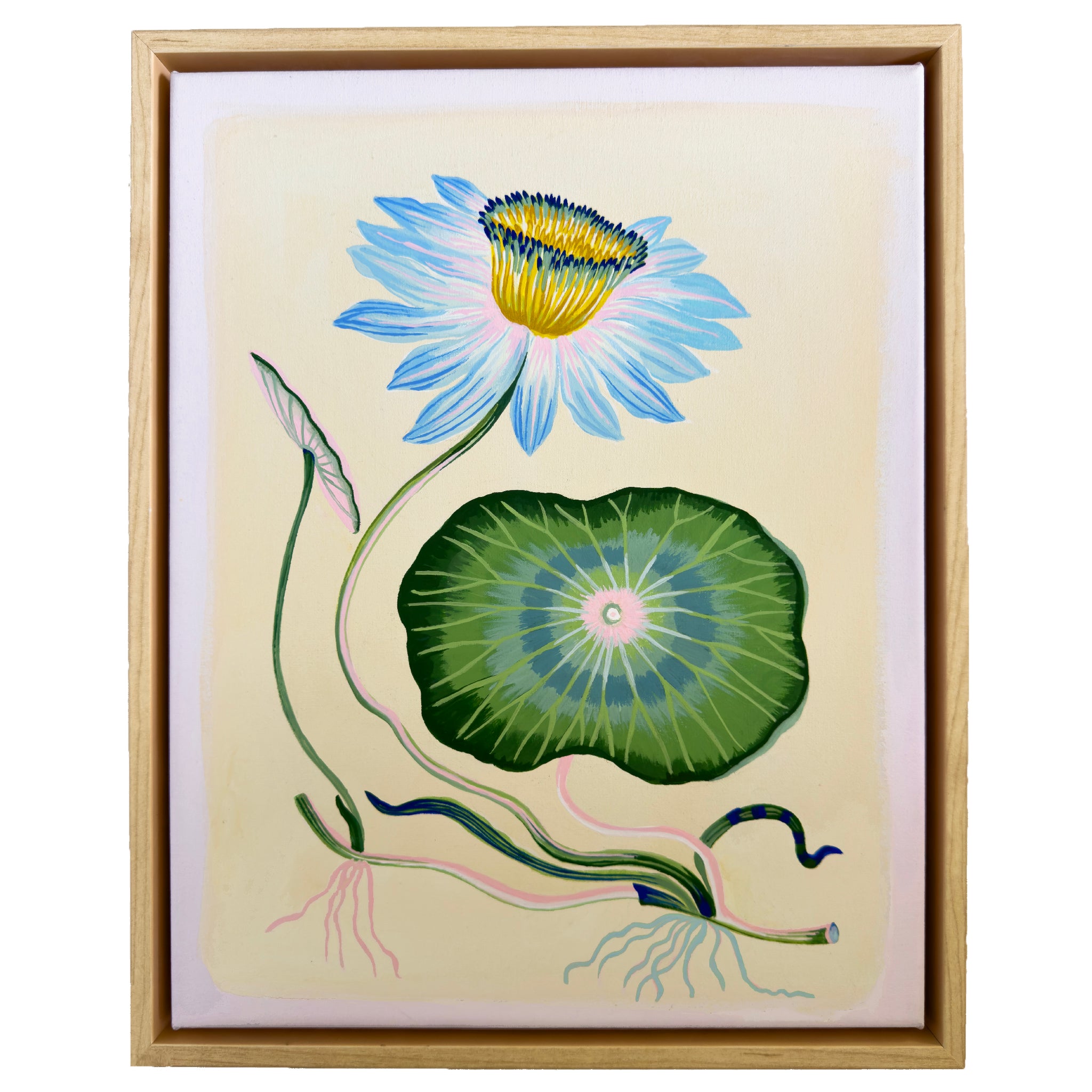 BLUE LOTUS 11" x 14" on canvas with natural wood float frame