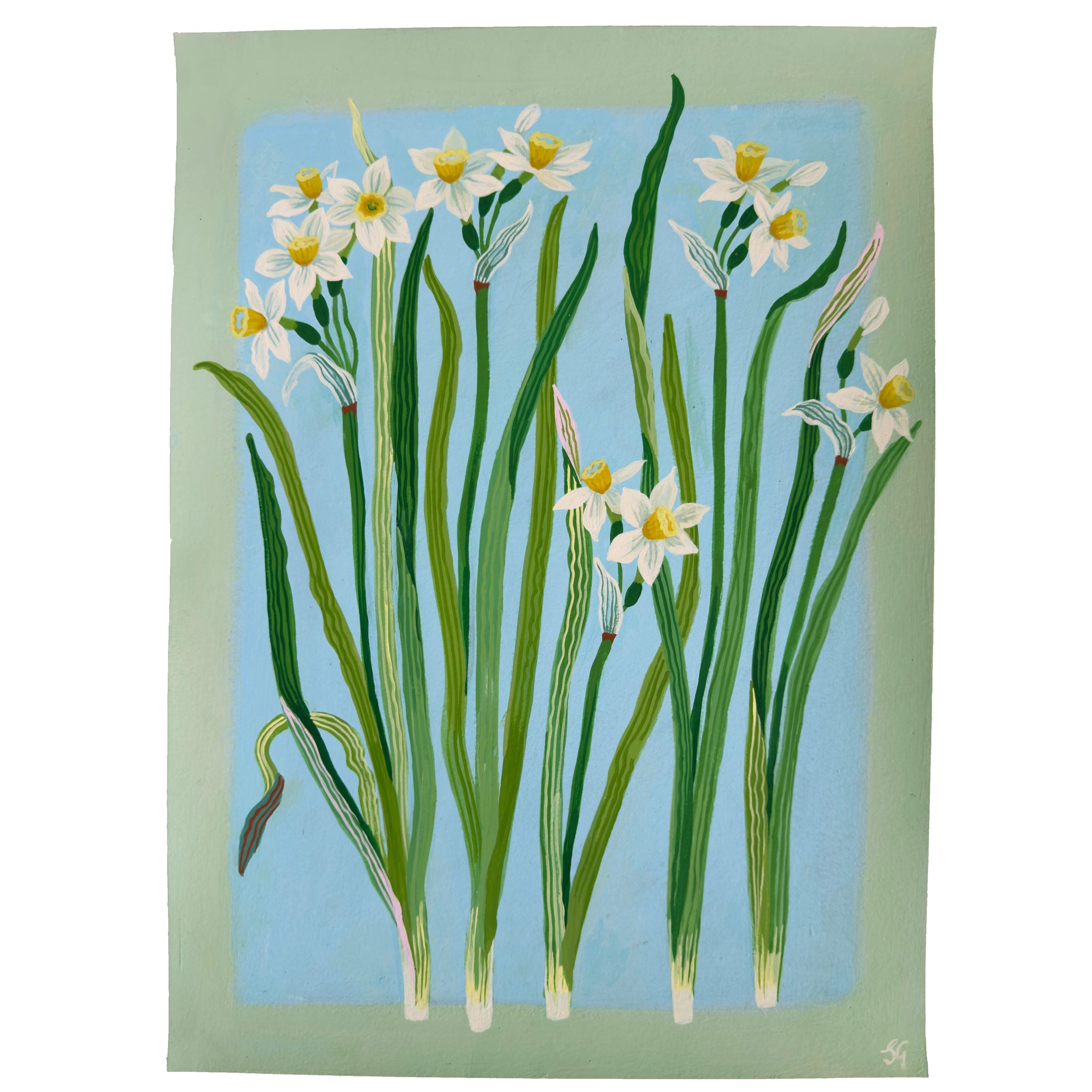 SPRING NARCISSUS on soft blue & misty green border 11"x15"