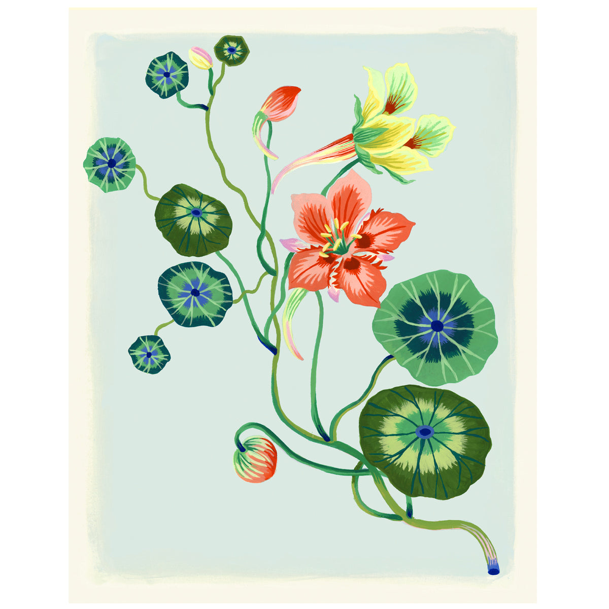 NASTURTIUM Special Edition Giclee Print 11"x14"