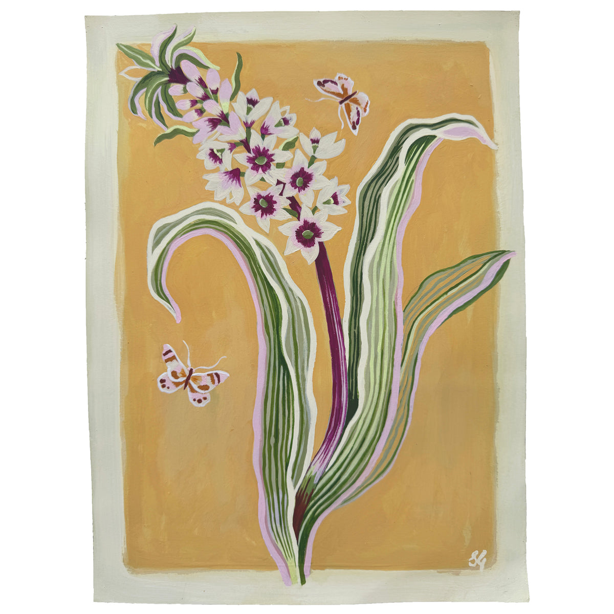 PINEAPPLE LILY no.2 on Naples yellow 9"x12"