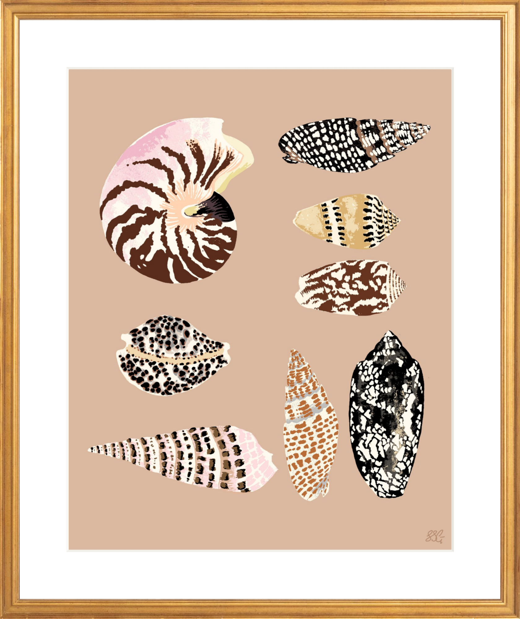 FIJI SHELLS 16" x 20" in 2 color options