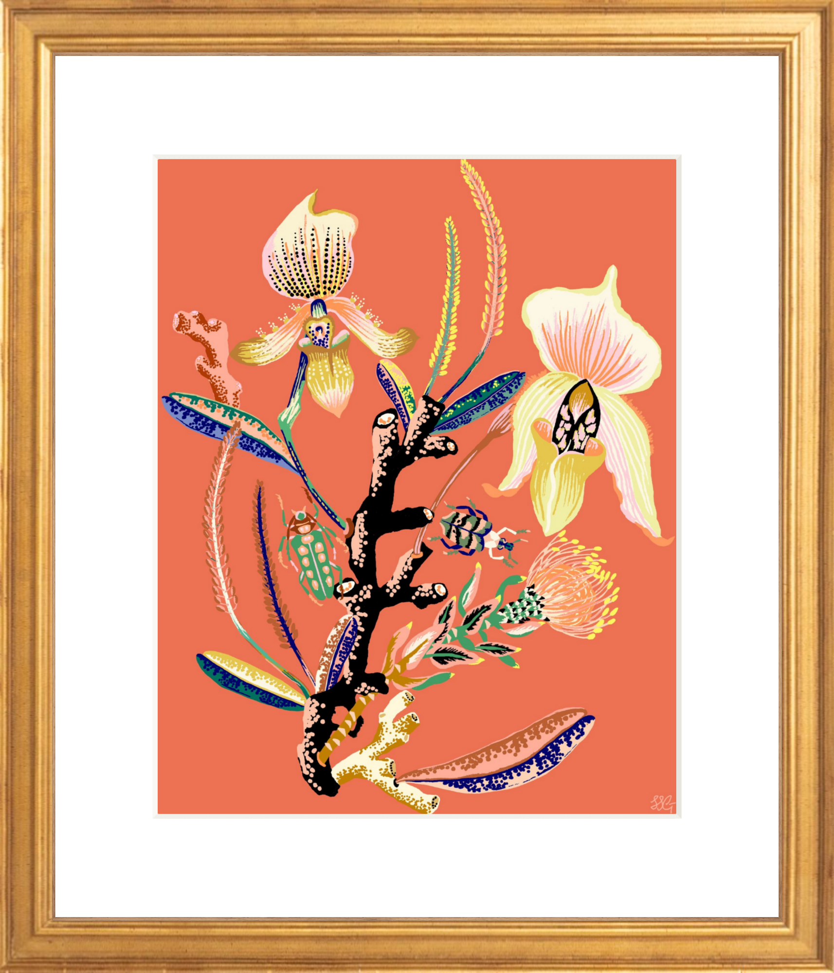 WONDERGARDEN ORCHID  8" x 10"