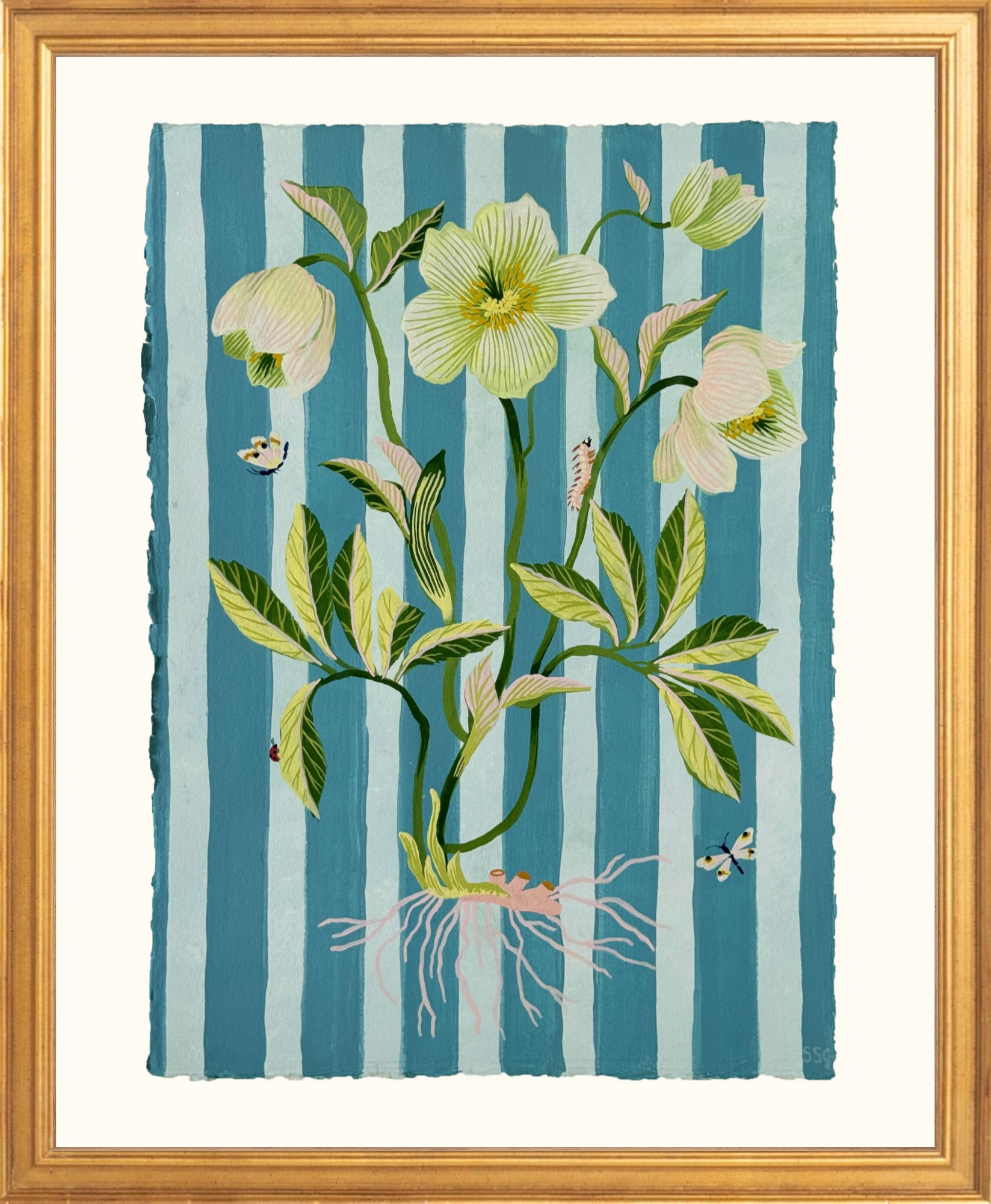 HELLEBORE STRIPES 11" x 15.2"