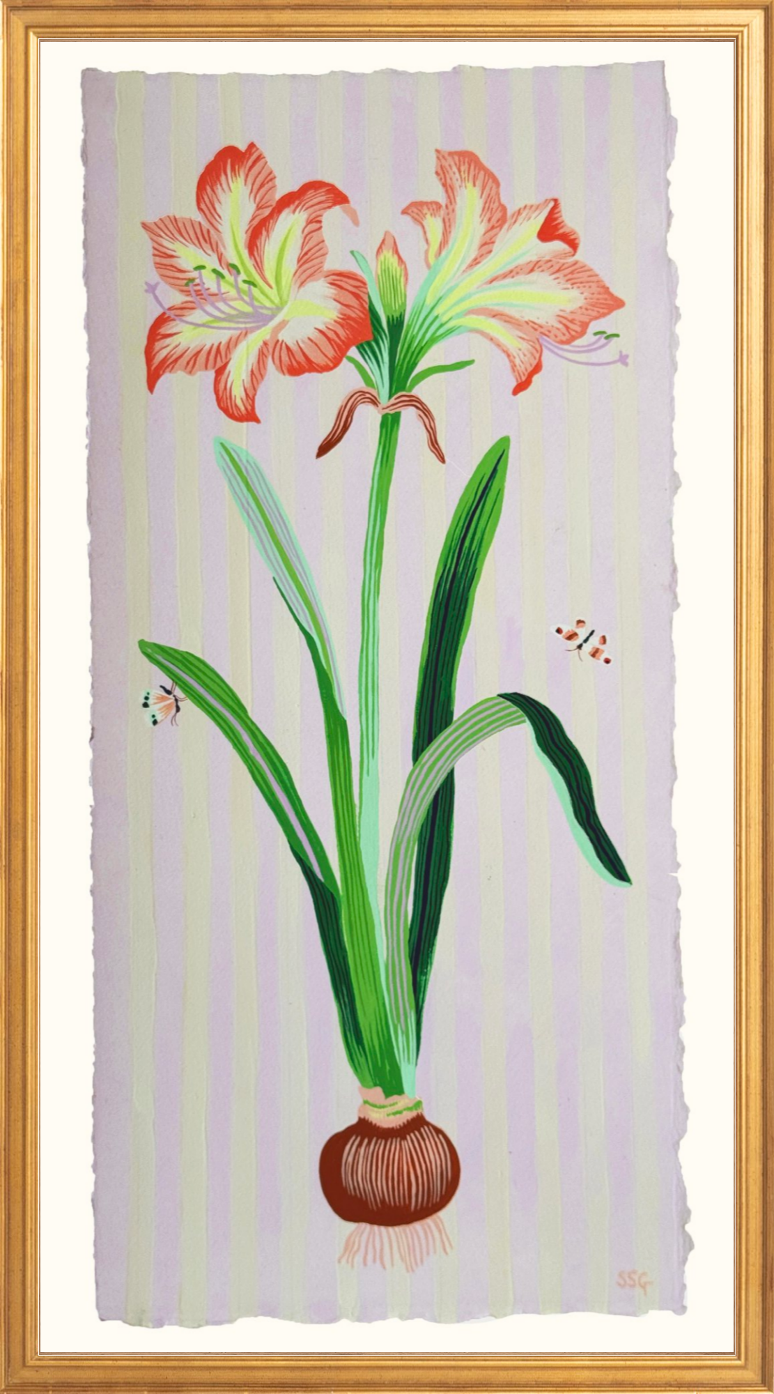 AMARYLLIS 9.5" x 20.4"