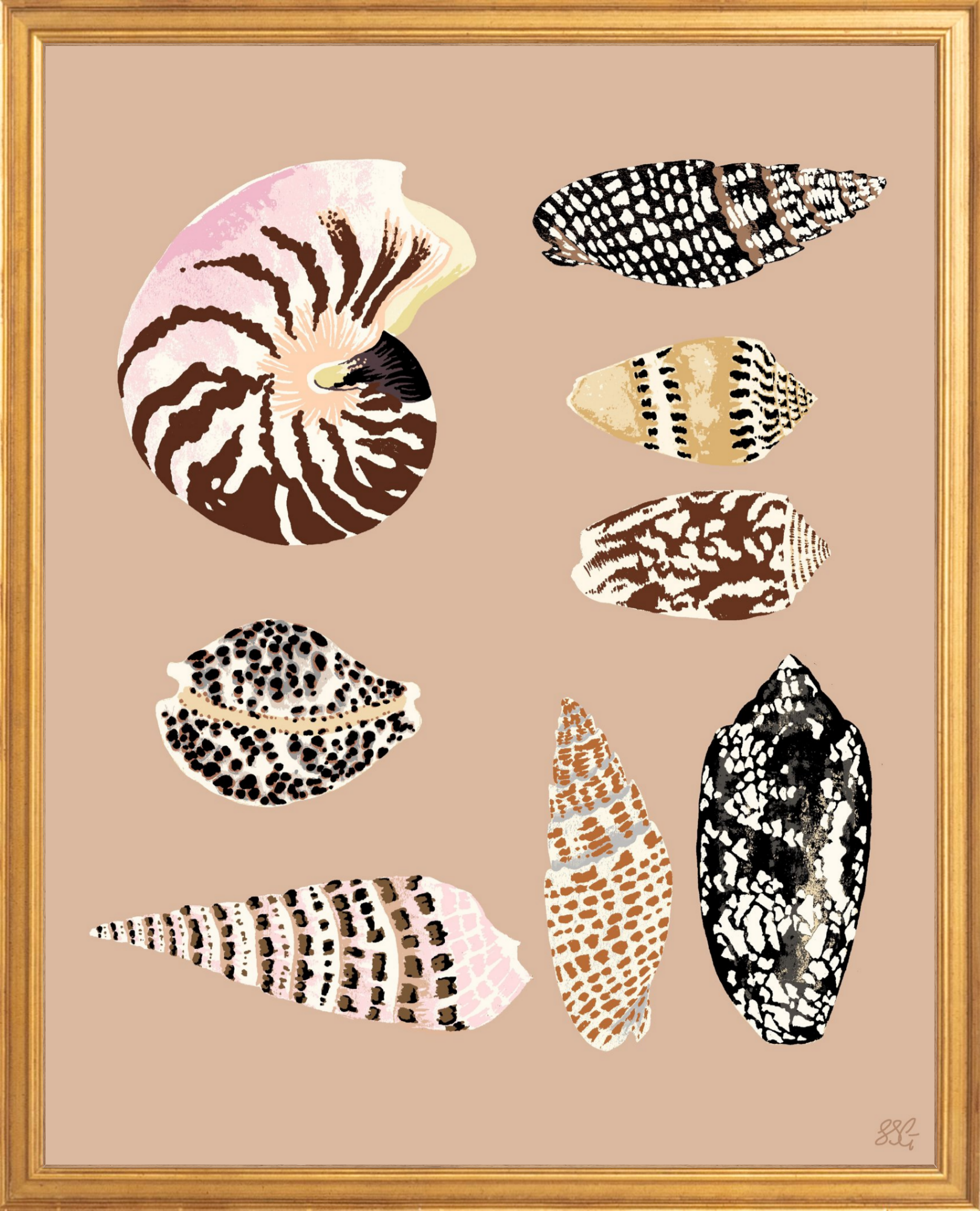 FIJI SHELLS 16" x 20" in 2 color options