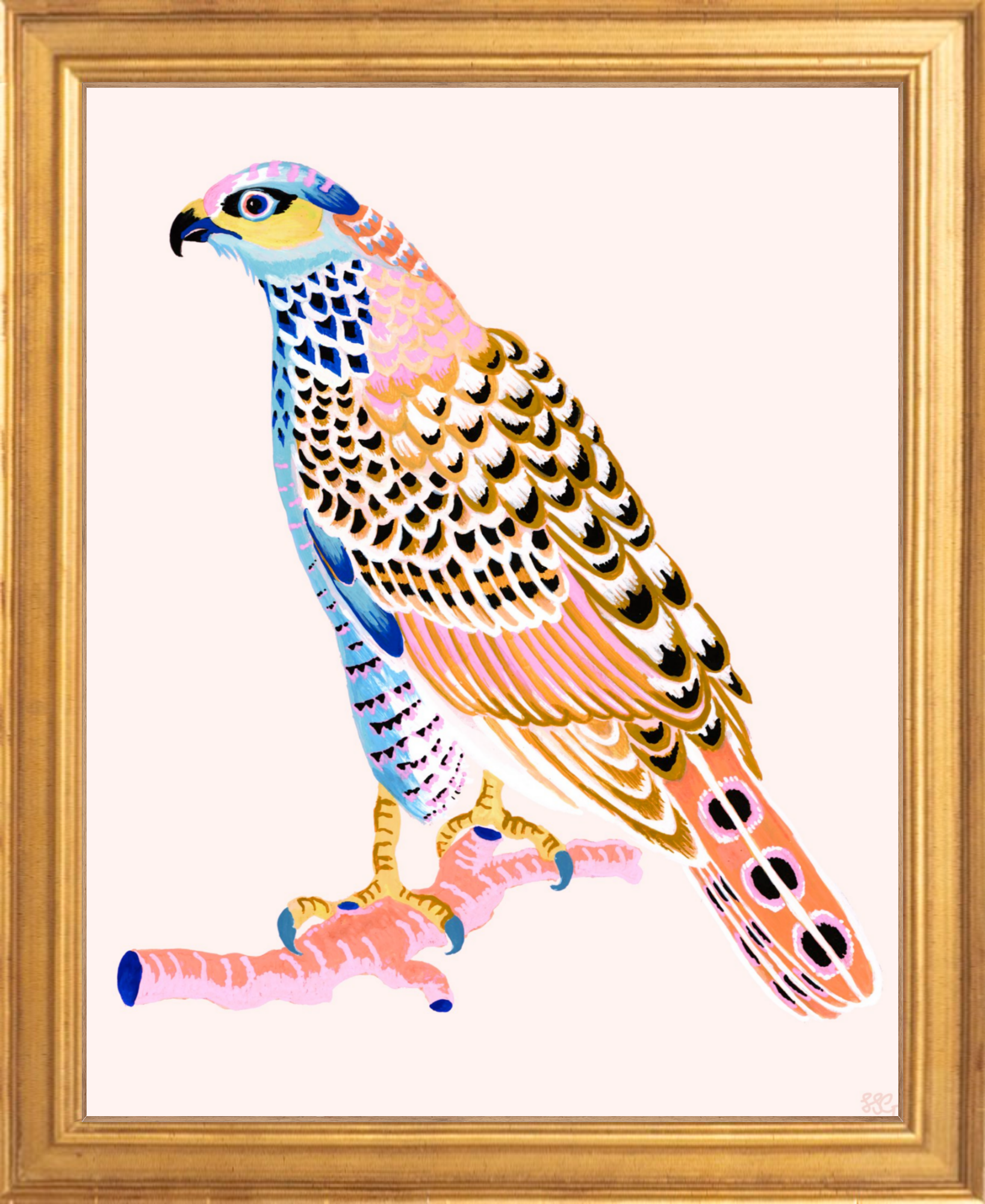 FANCY HAWK 8" x 10" in 2 color options