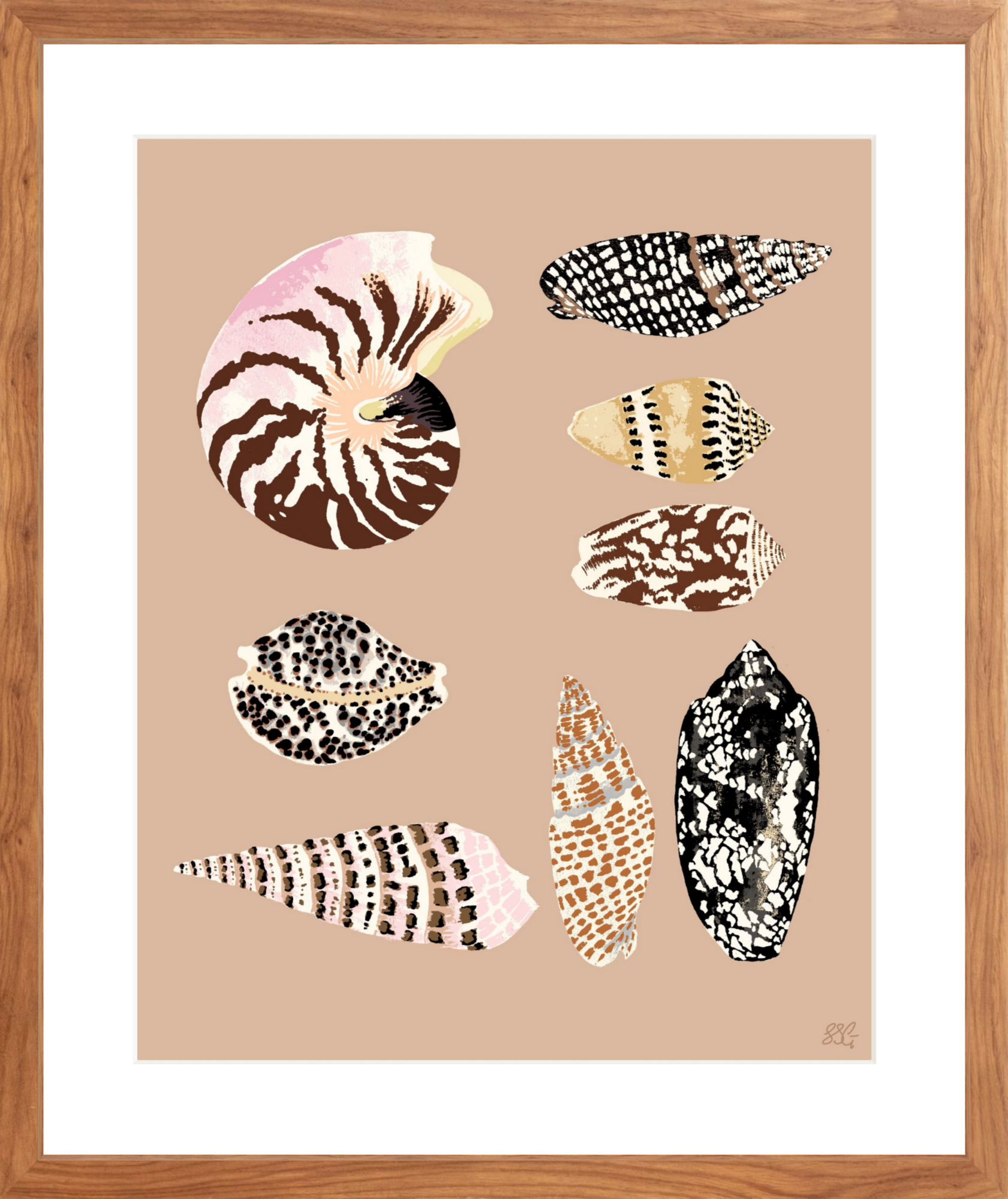FIJI SHELLS 16" x 20" in 2 color options