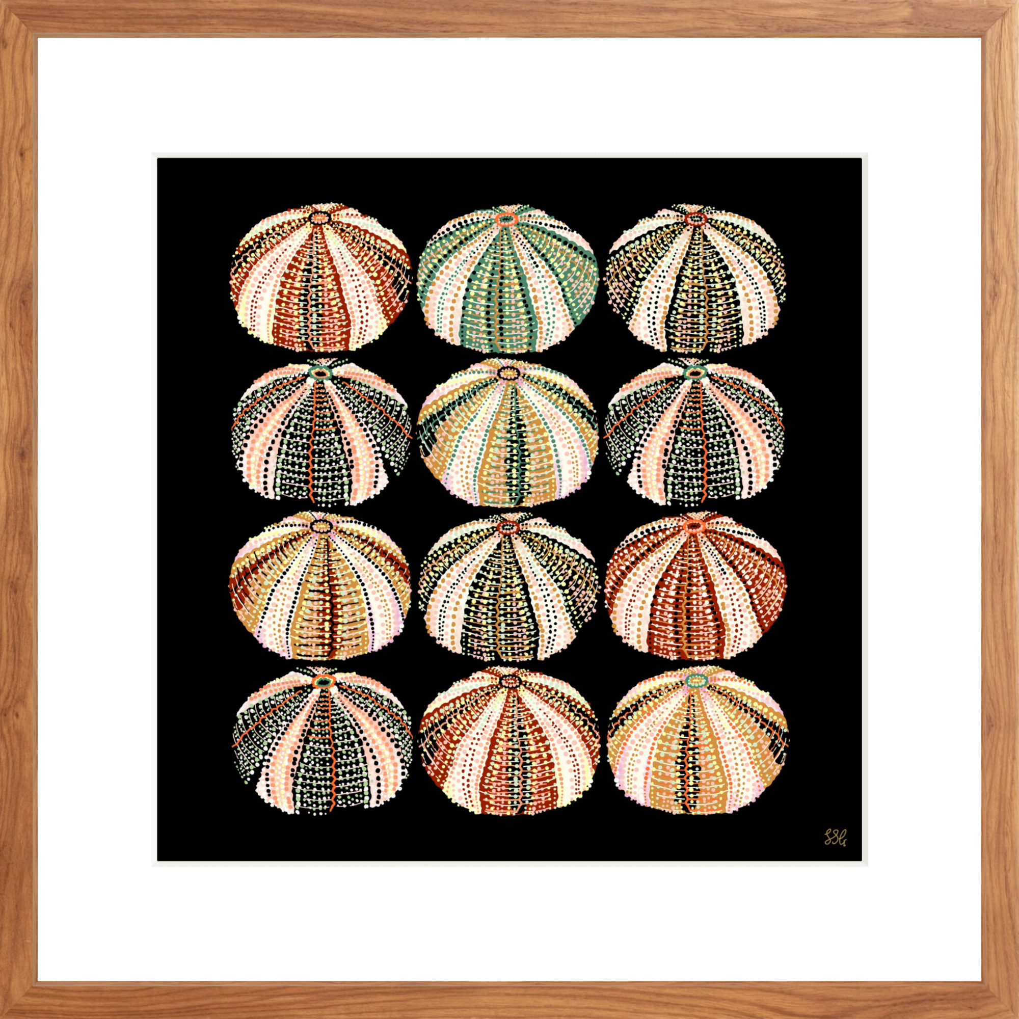 URCHIN 12 WAYS 18" X 18" in 2 color options